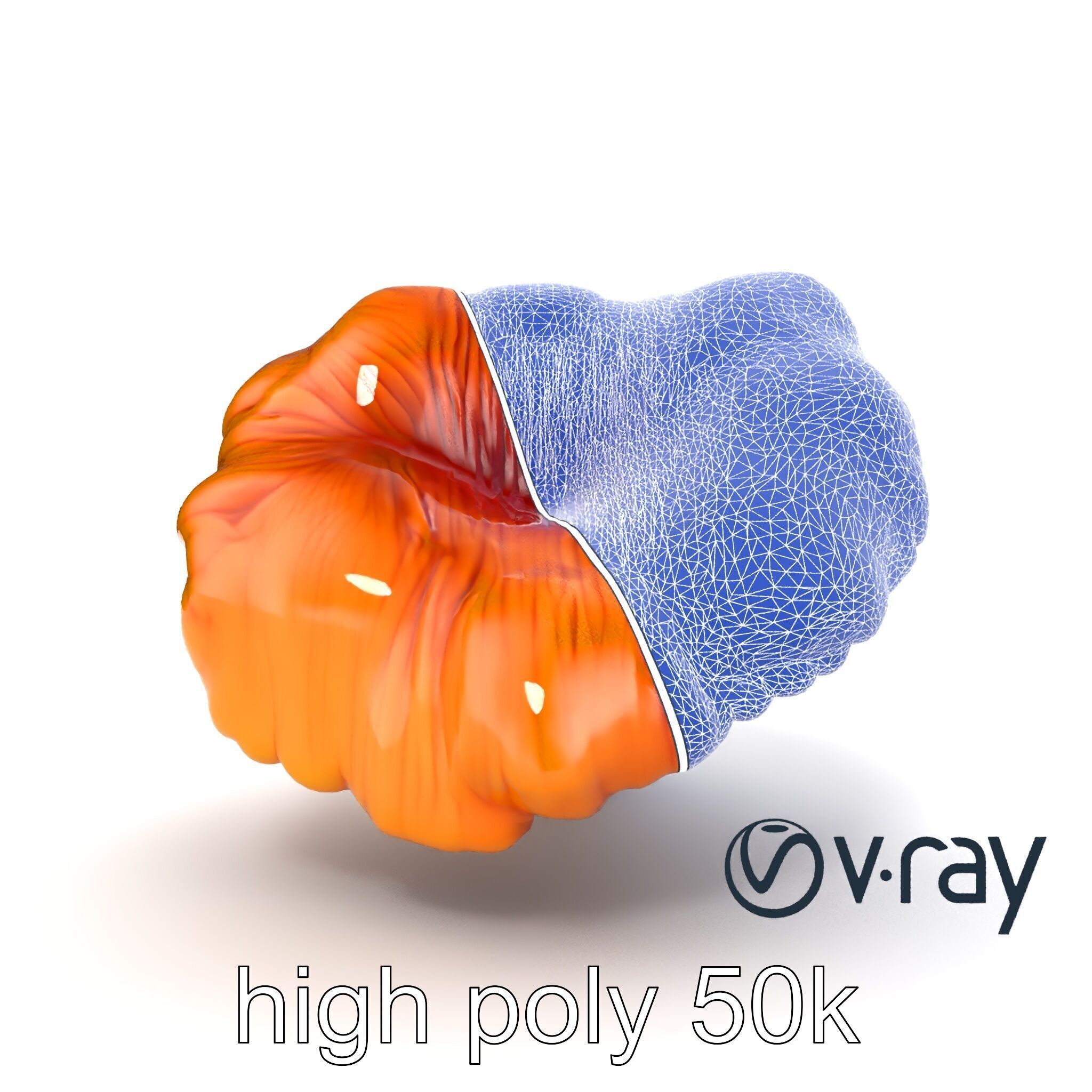 Chanterelle Mushroom Golden Texture model pack Low-poly 3D model_24