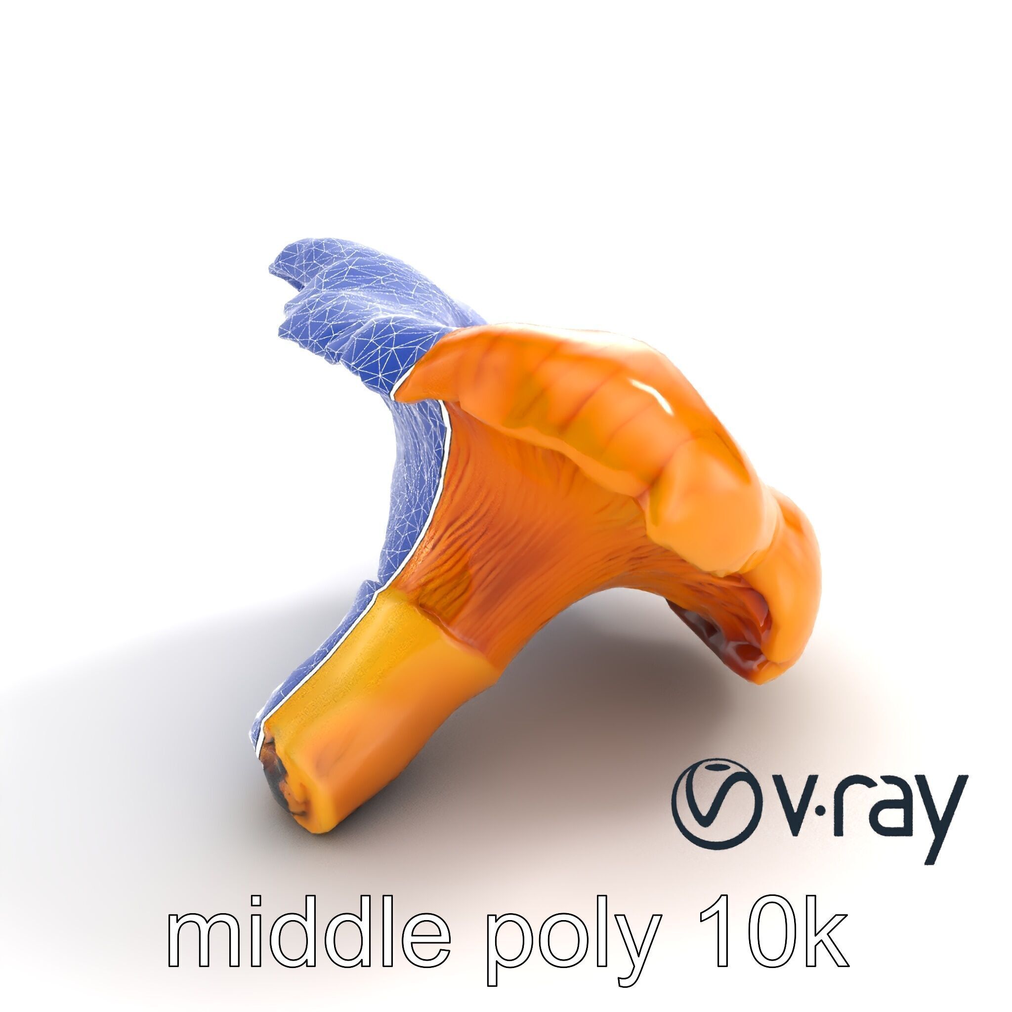 Chanterelle Mushroom Golden Texture model pack Low-poly 3D model_11