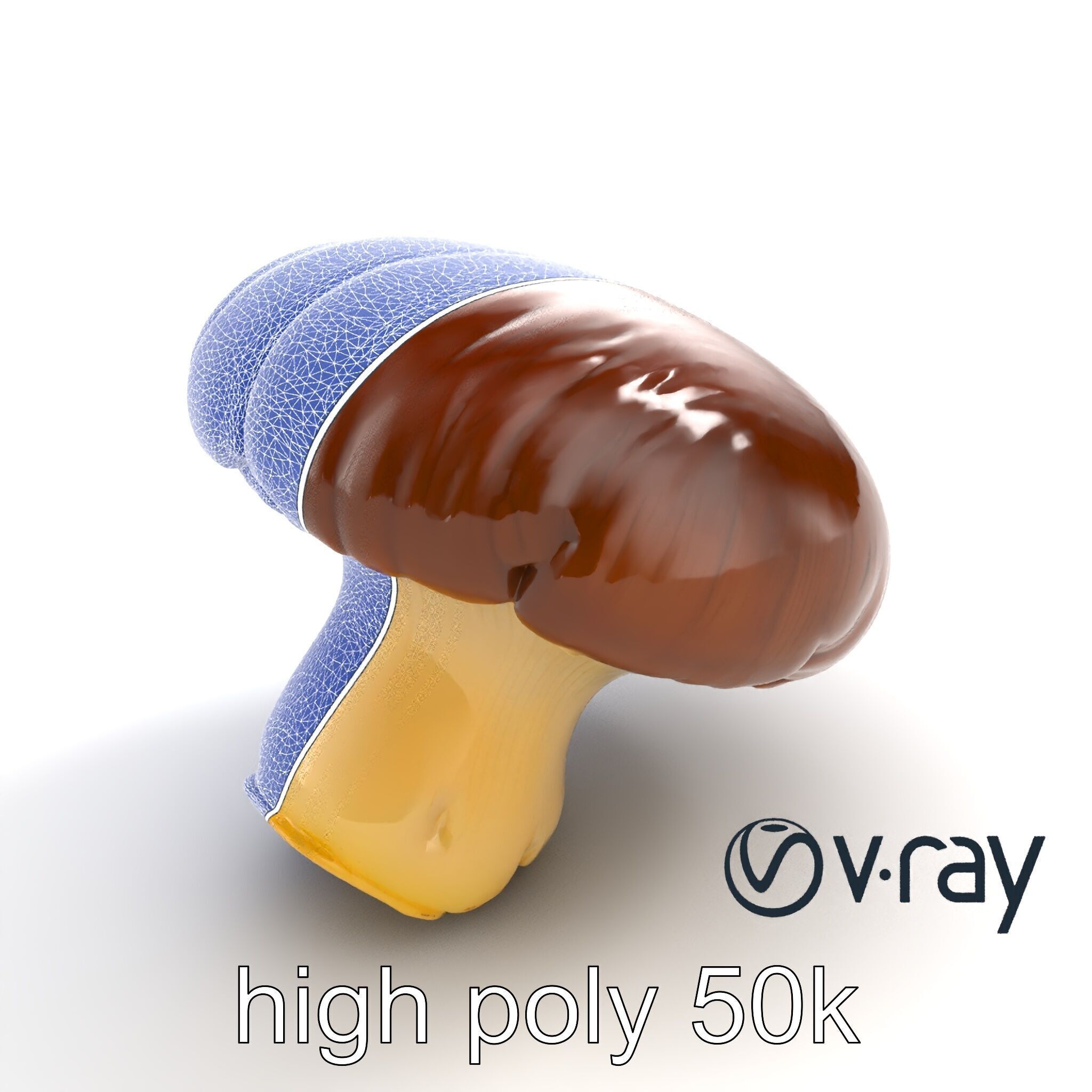 Portobello Mushroom Realistic Render model pack Low-poly 3D model_31