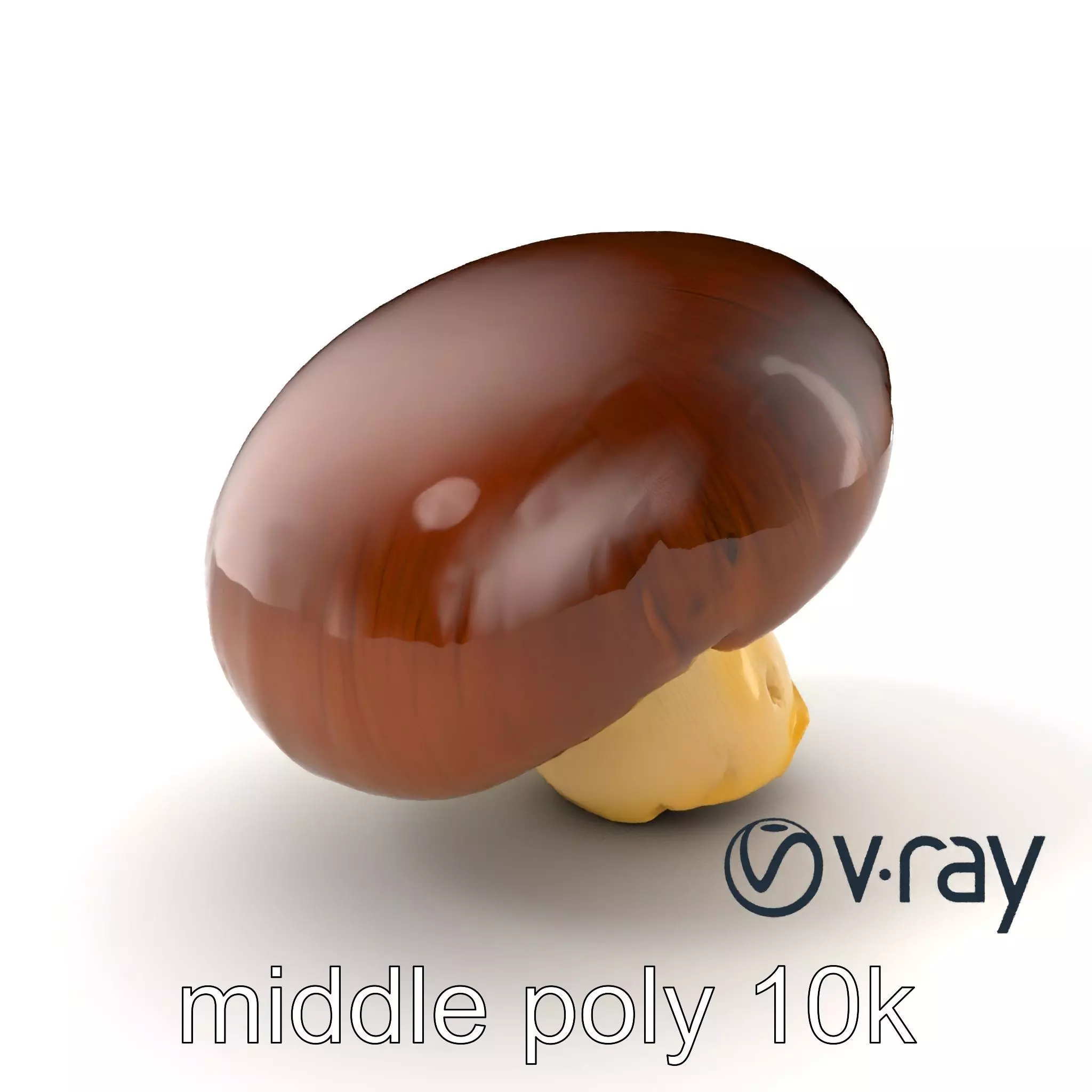 Portobello Mushroom Realistic Render model pack Low-poly 3D model_0