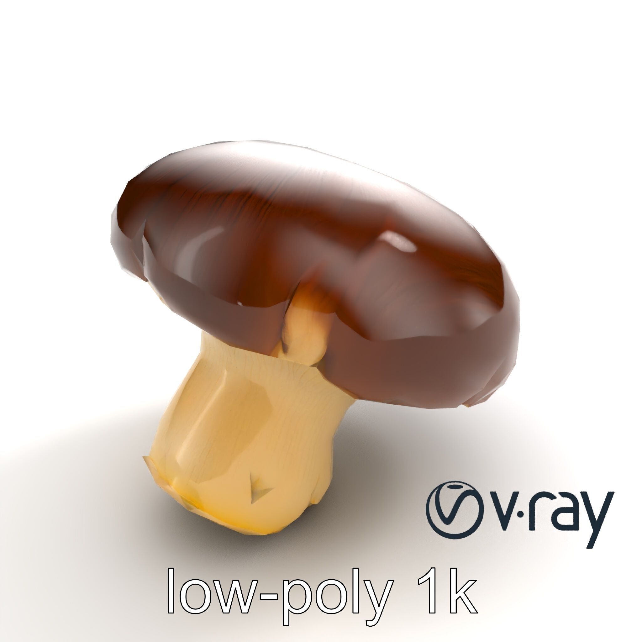 Portobello Mushroom Realistic Render model pack Low-poly 3D model_6
