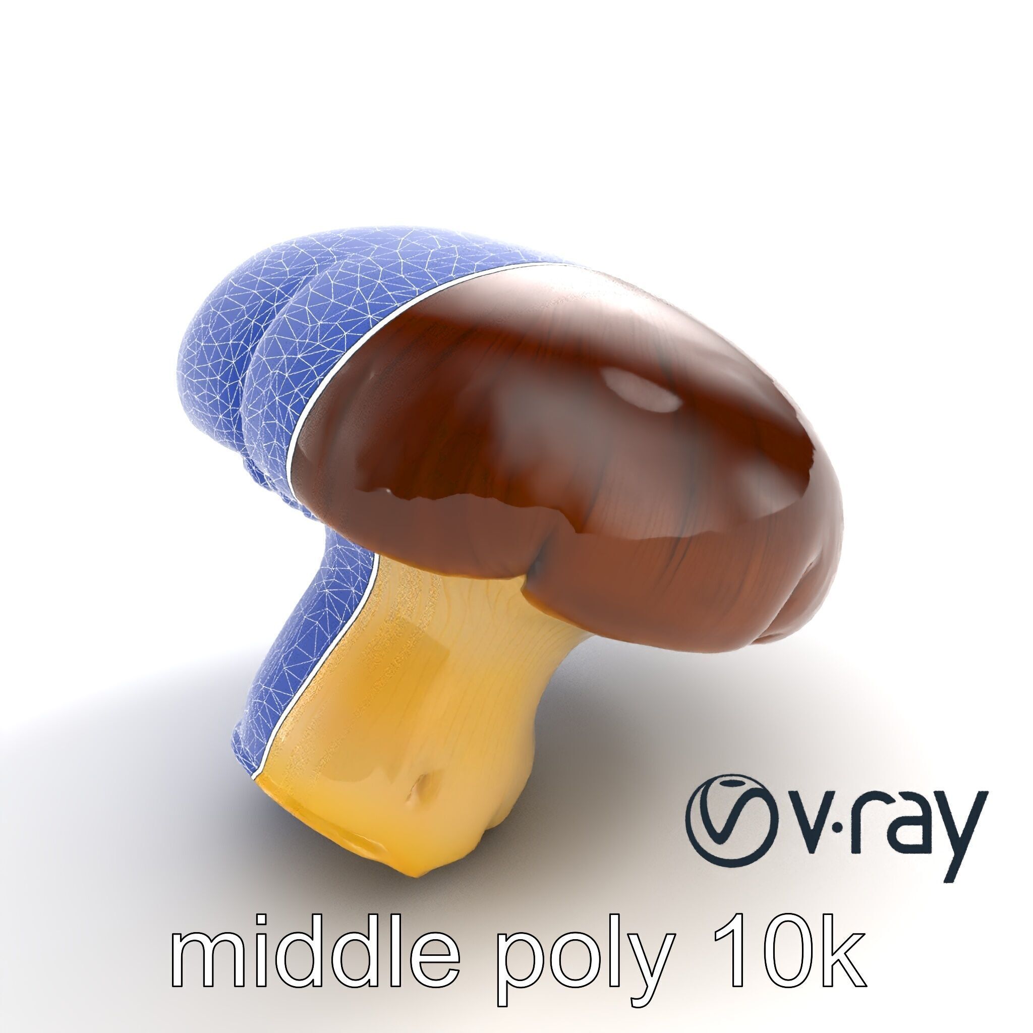 Portobello Mushroom Realistic Render model pack Low-poly 3D model_29