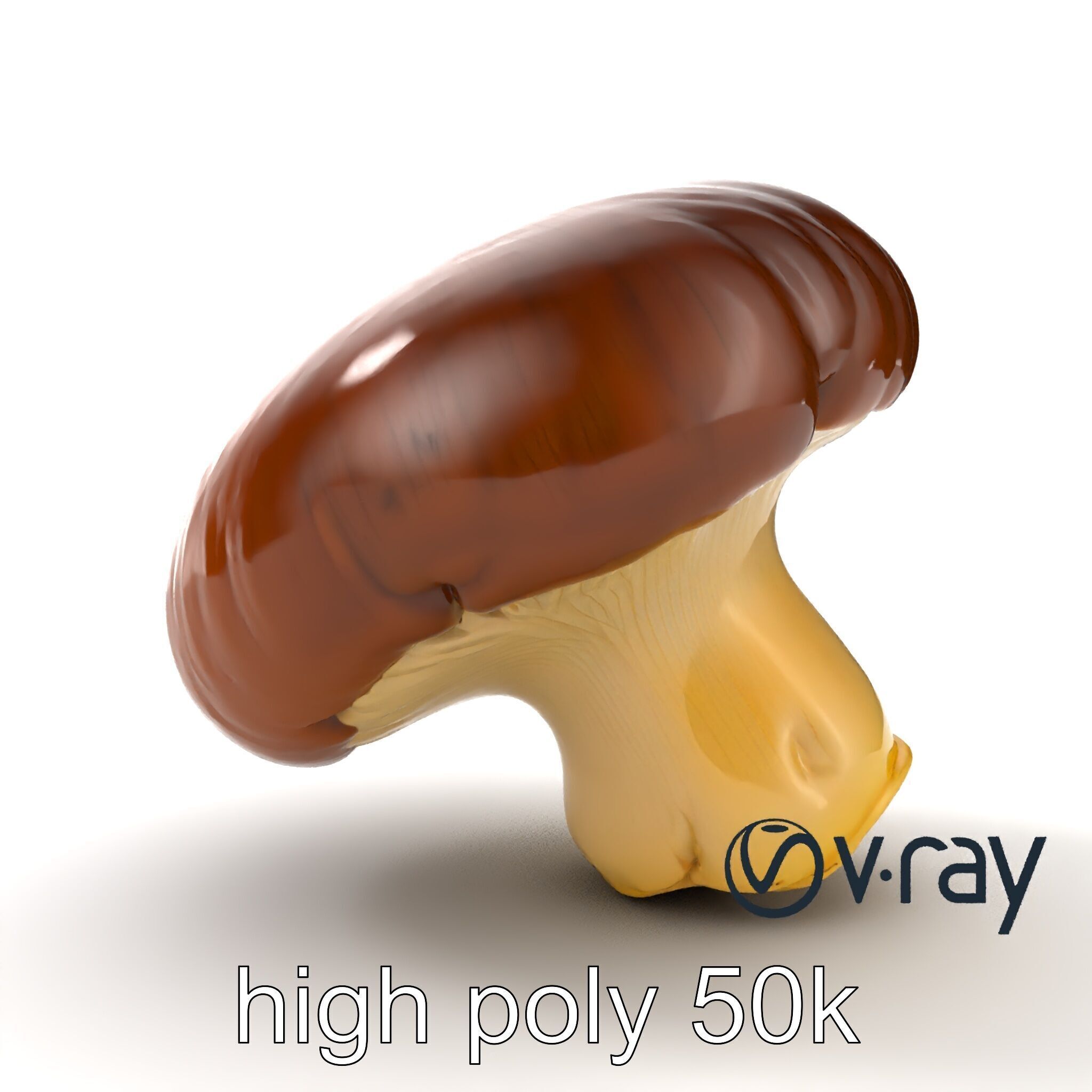 Portobello Mushroom Realistic Render model pack Low-poly 3D model_24