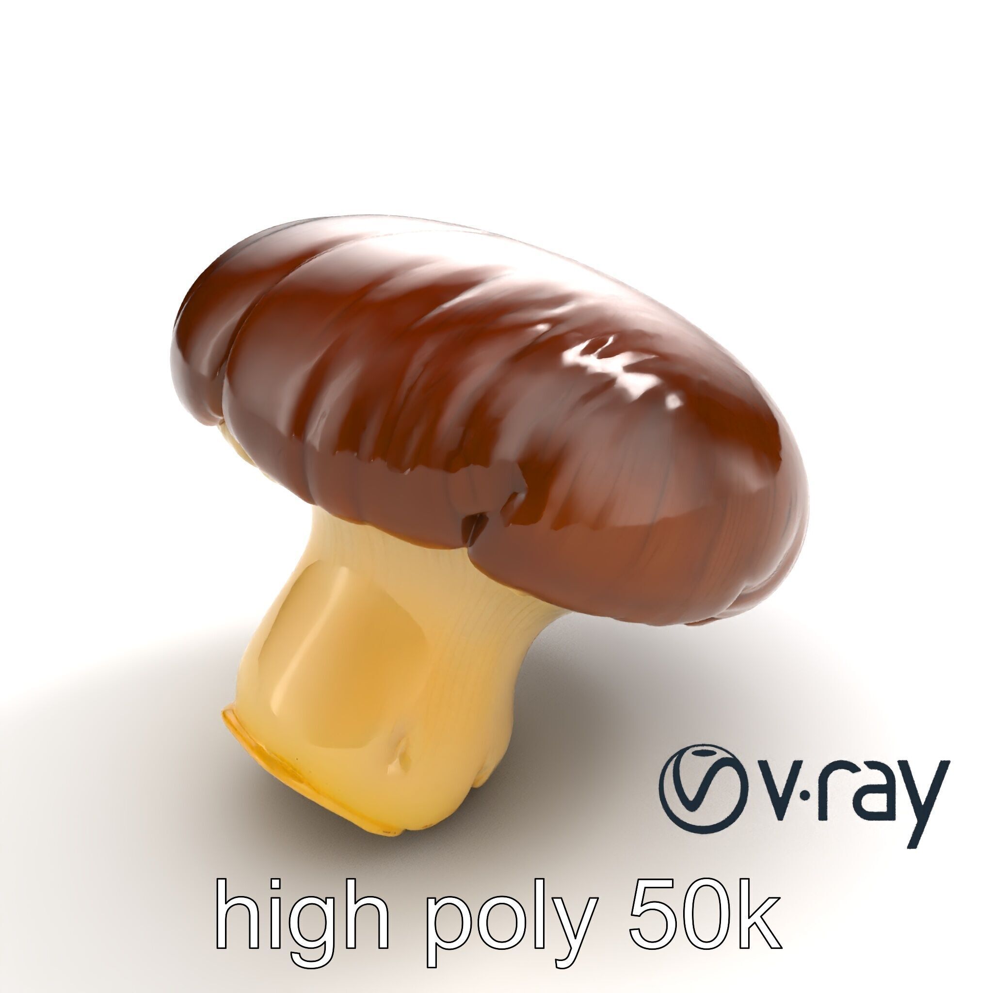 Portobello Mushroom Realistic Render model pack Low-poly 3D model_10