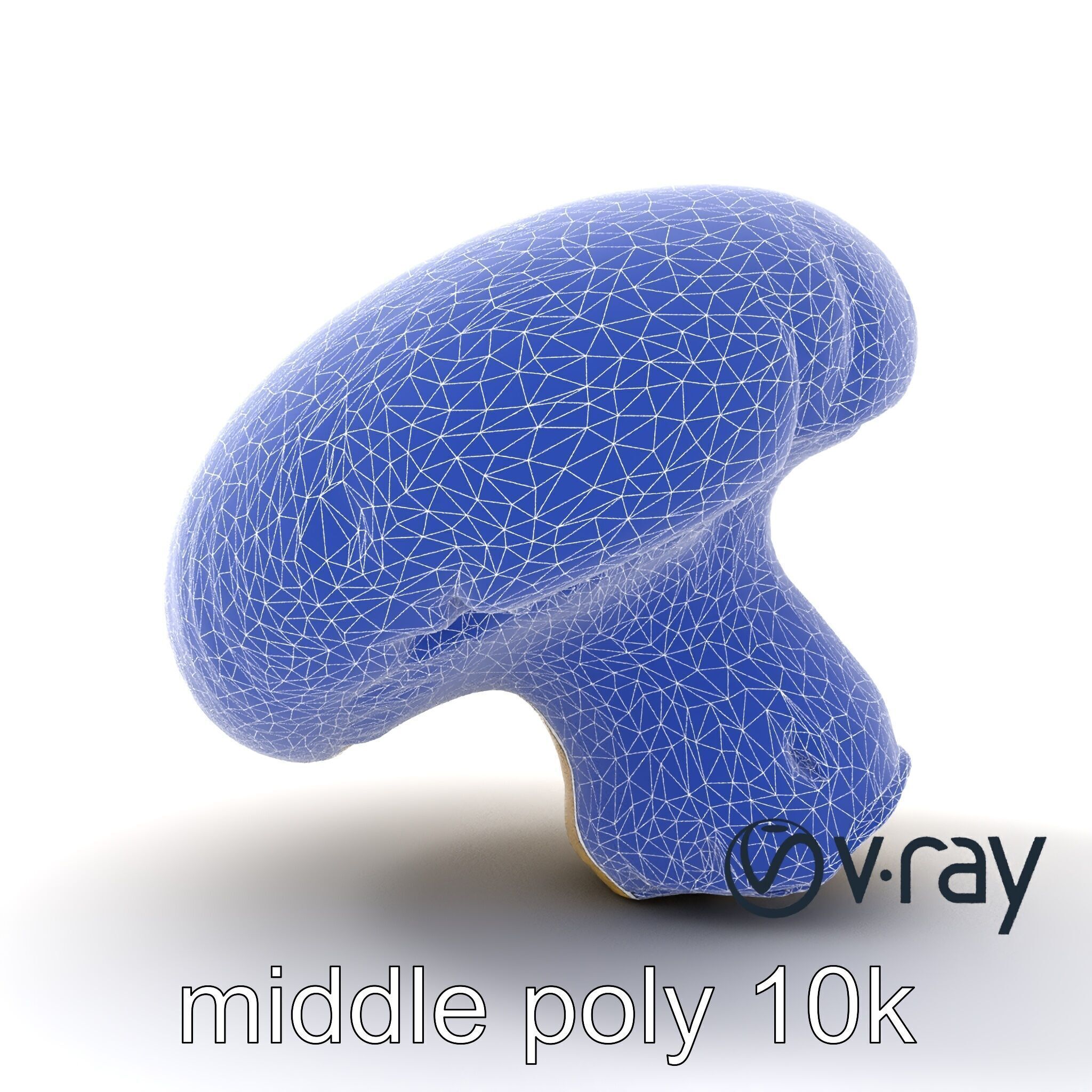 Portobello Mushroom Realistic Render model pack Low-poly 3D model_17