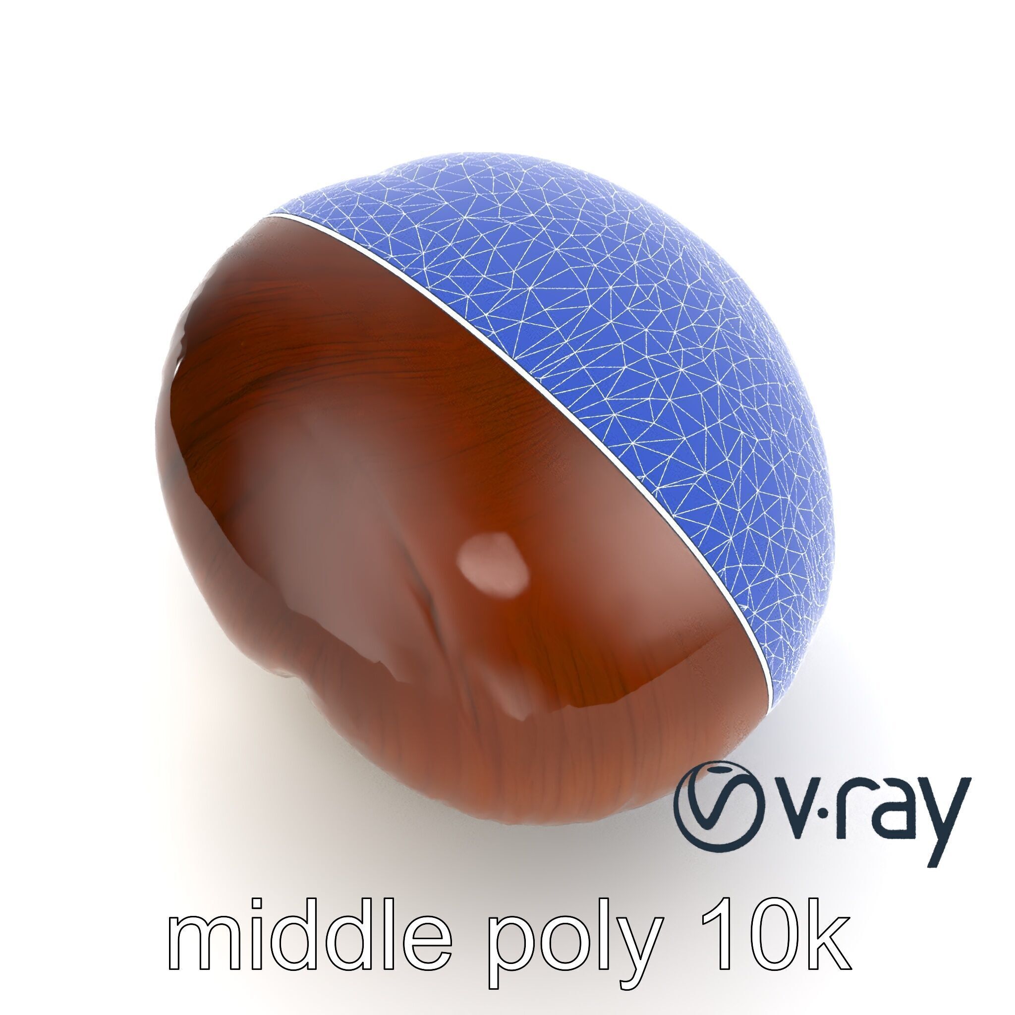 Portobello Mushroom Realistic Render model pack Low-poly 3D model_21