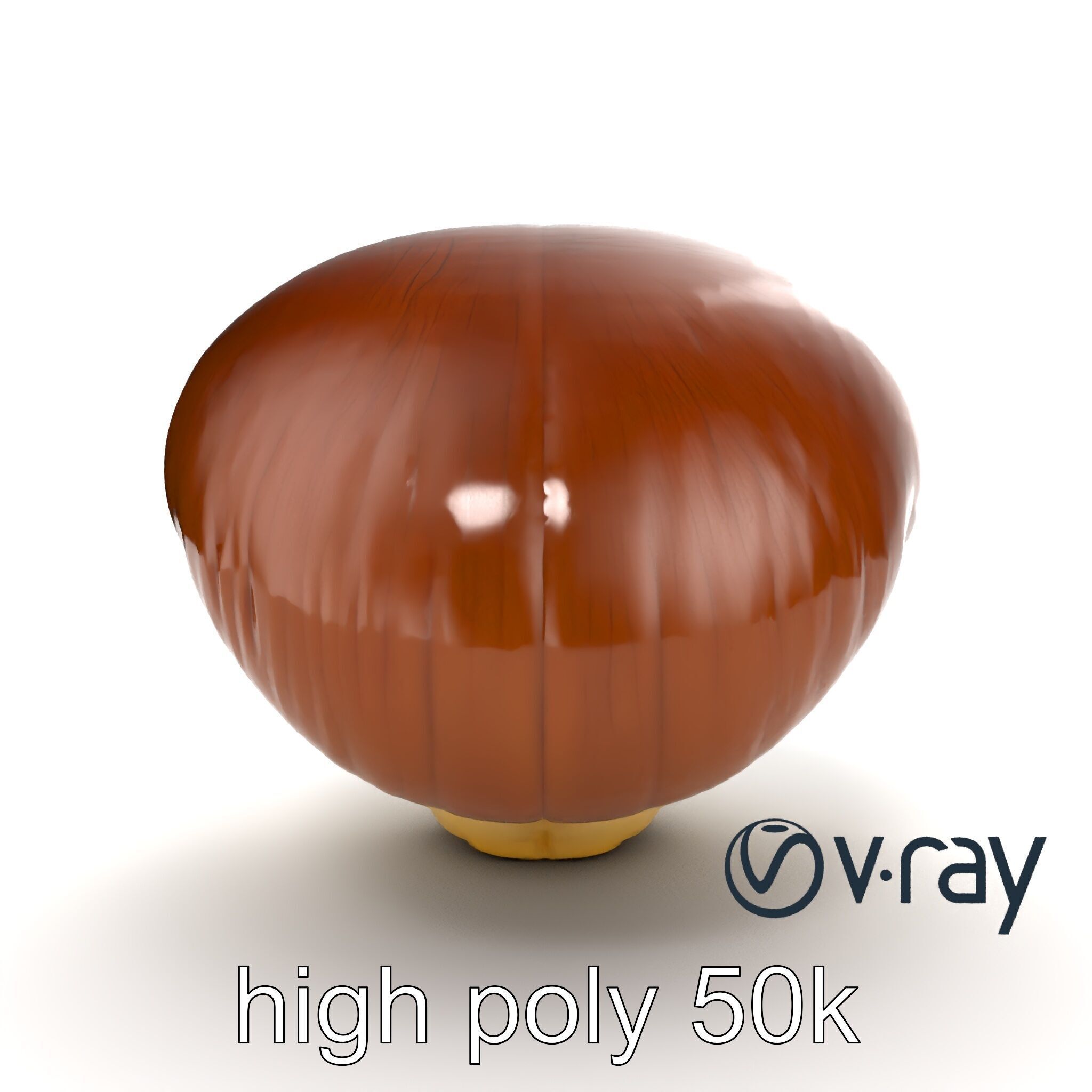 Portobello Mushroom Realistic Render model pack Low-poly 3D model_20