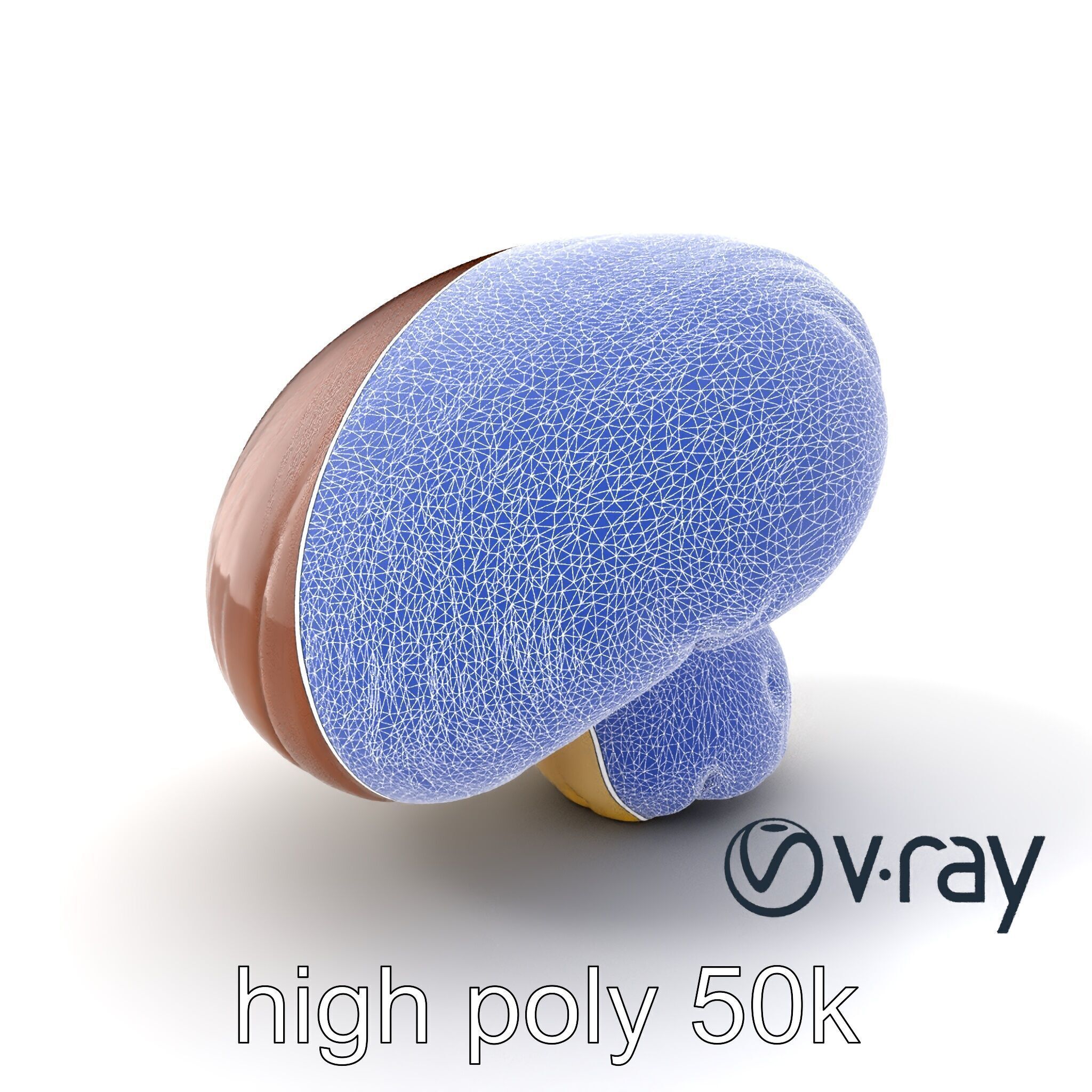 Portobello Mushroom Realistic Render model pack Low-poly 3D model_27