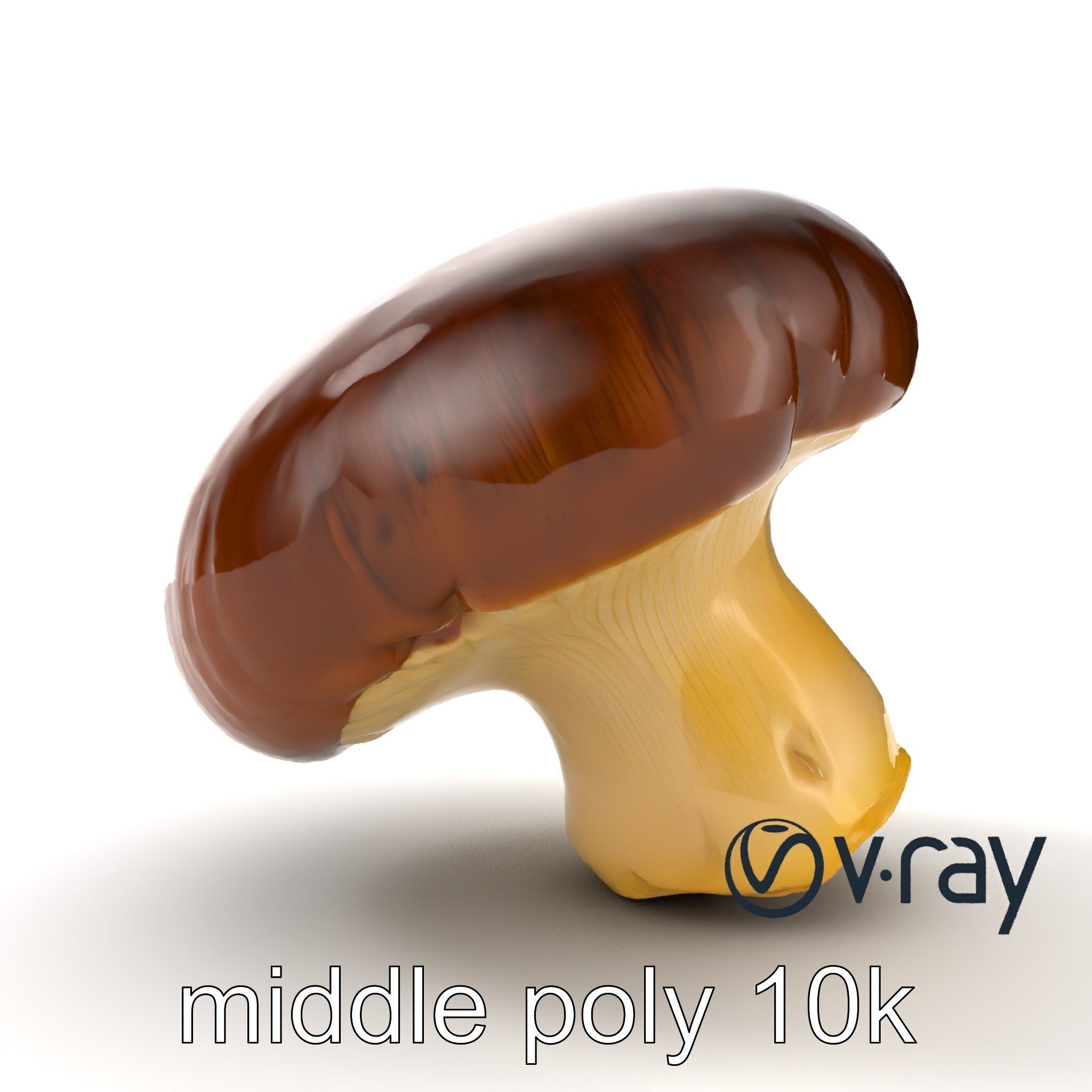 Portobello Mushroom Realistic Render model pack Low-poly 3D model_11