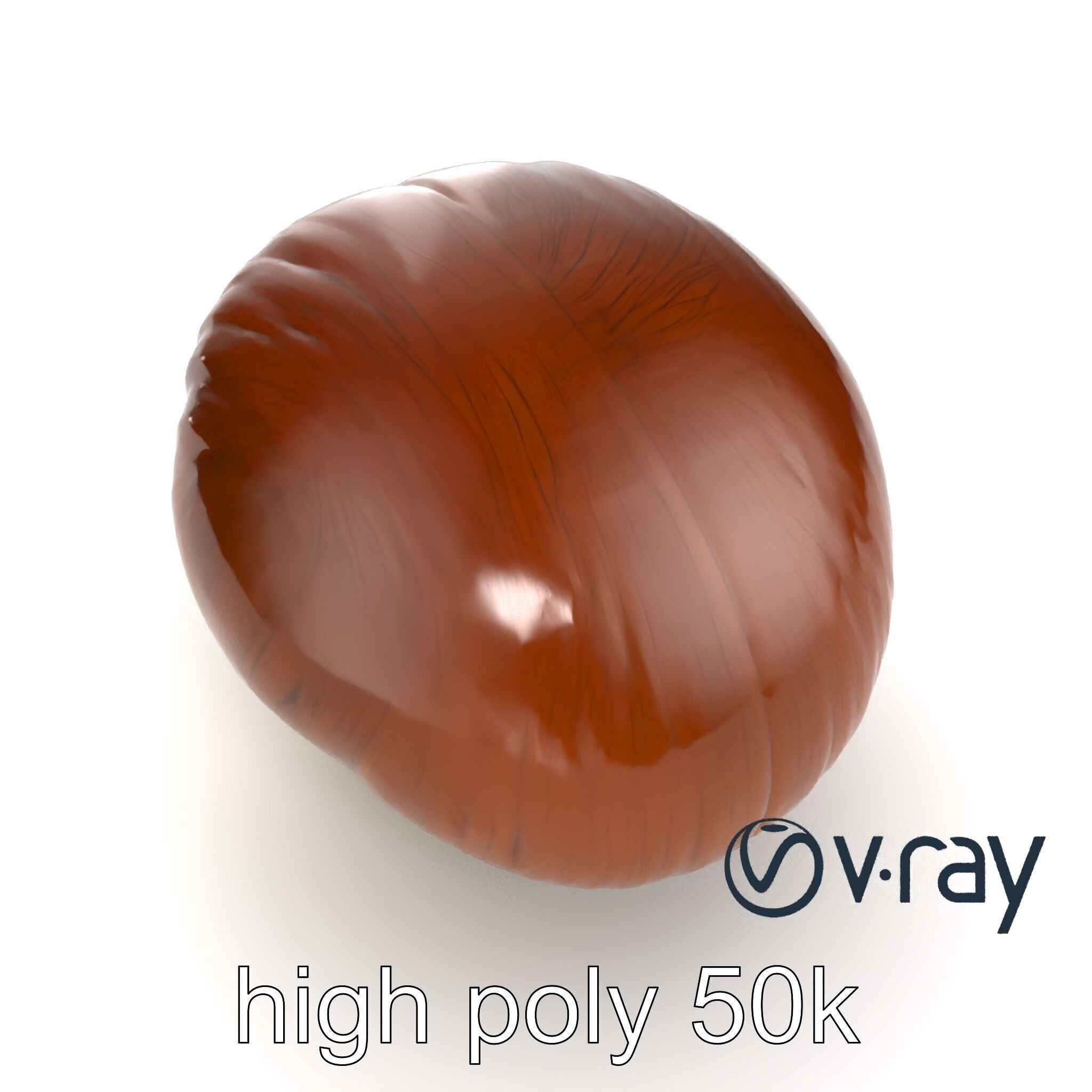 Portobello Mushroom Realistic Render model pack Low-poly 3D model_12