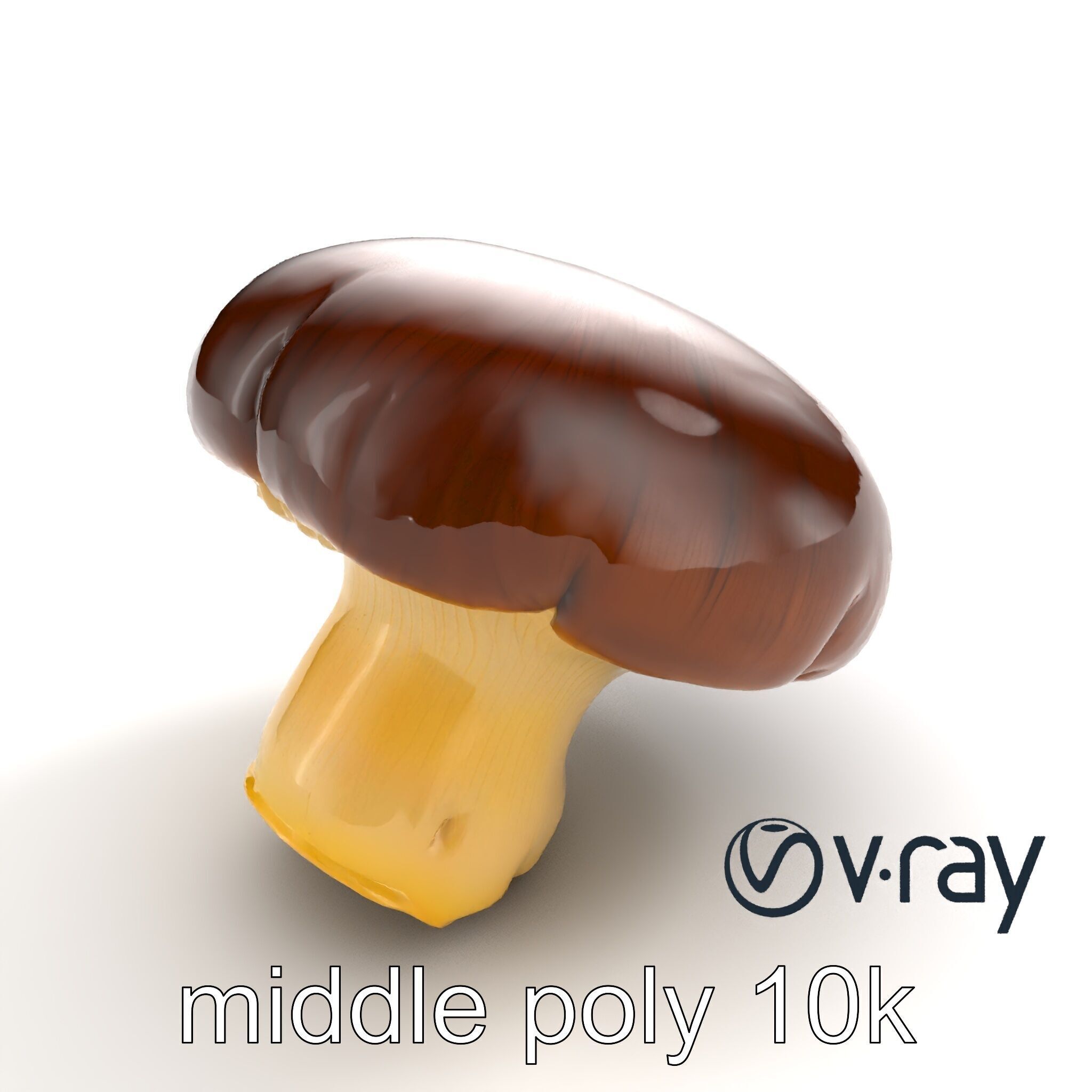 Portobello Mushroom Realistic Render model pack Low-poly 3D model_5