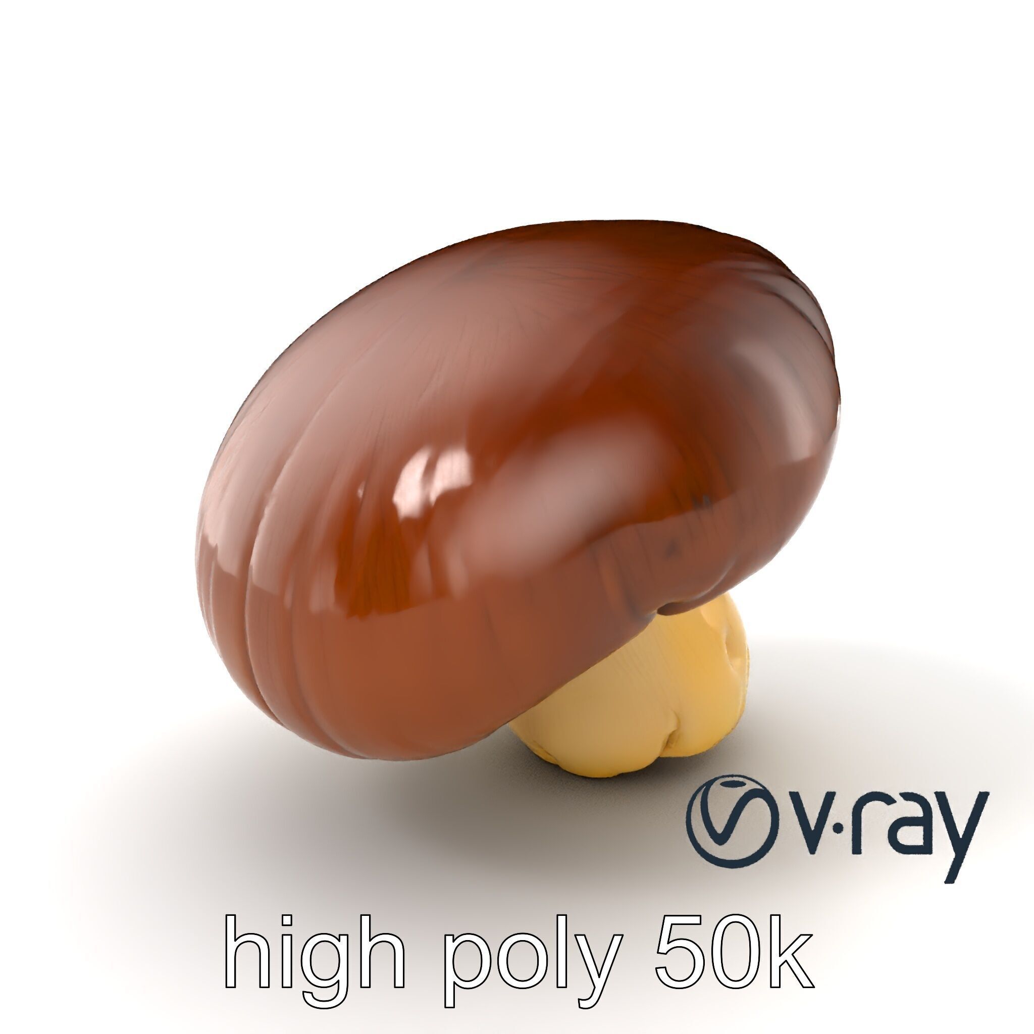 Portobello Mushroom Realistic Render model pack Low-poly 3D model_7