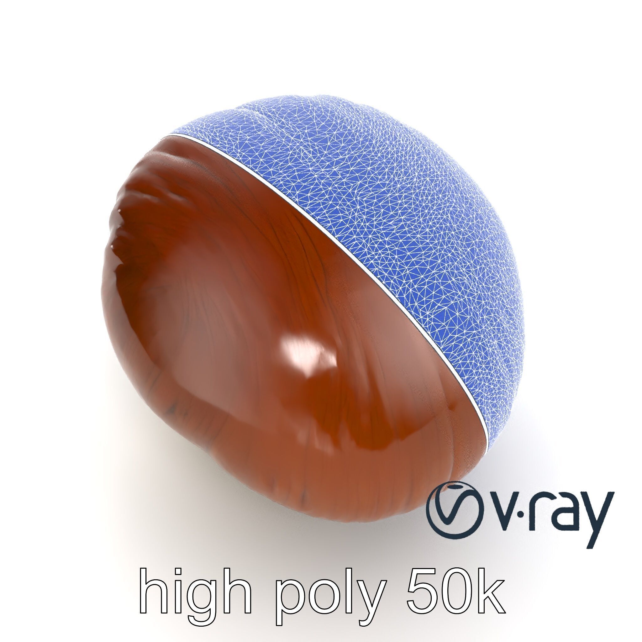 Portobello Mushroom Realistic Render model pack Low-poly 3D model_18