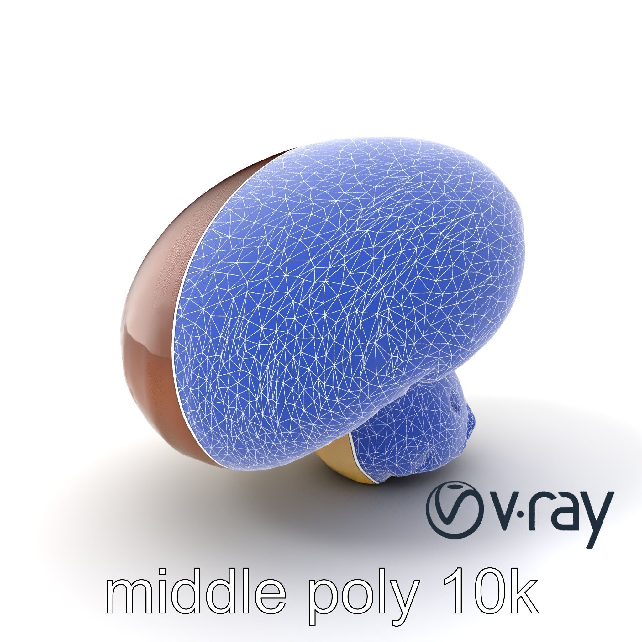 Portobello Mushroom Realistic Render model pack Low-poly 3D model_26