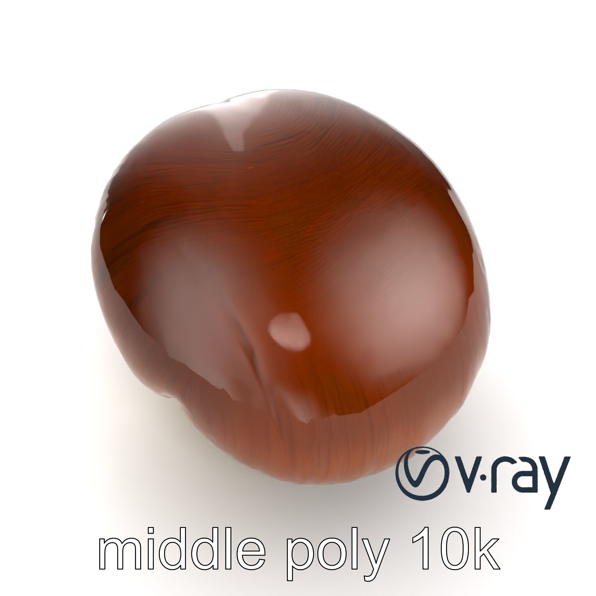 Portobello Mushroom Realistic Render model pack Low-poly 3D model_8