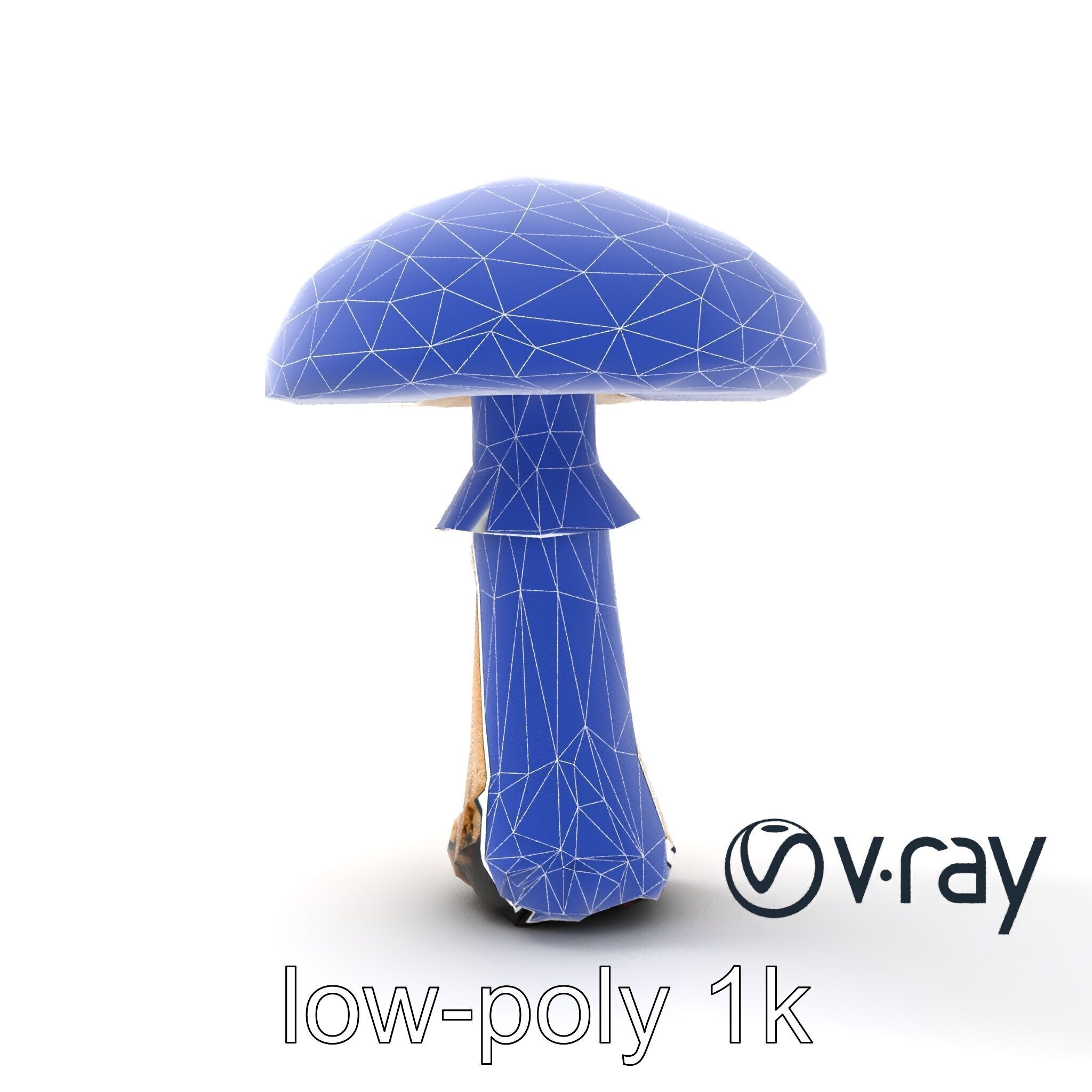 Realistic Forest Mushroom Model Pack with Textured Details Low-poly 3D model_17