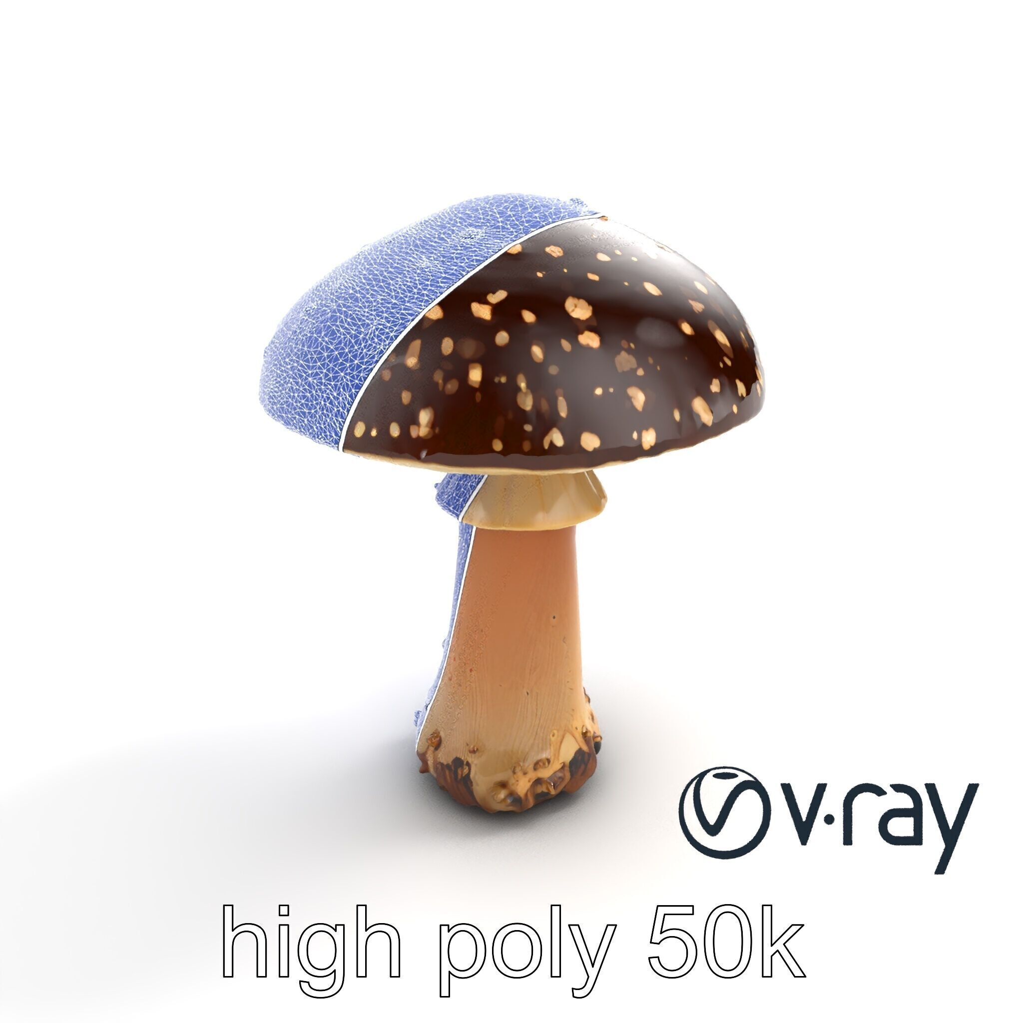 Realistic Forest Mushroom Model Pack with Textured Details Low-poly 3D model_27