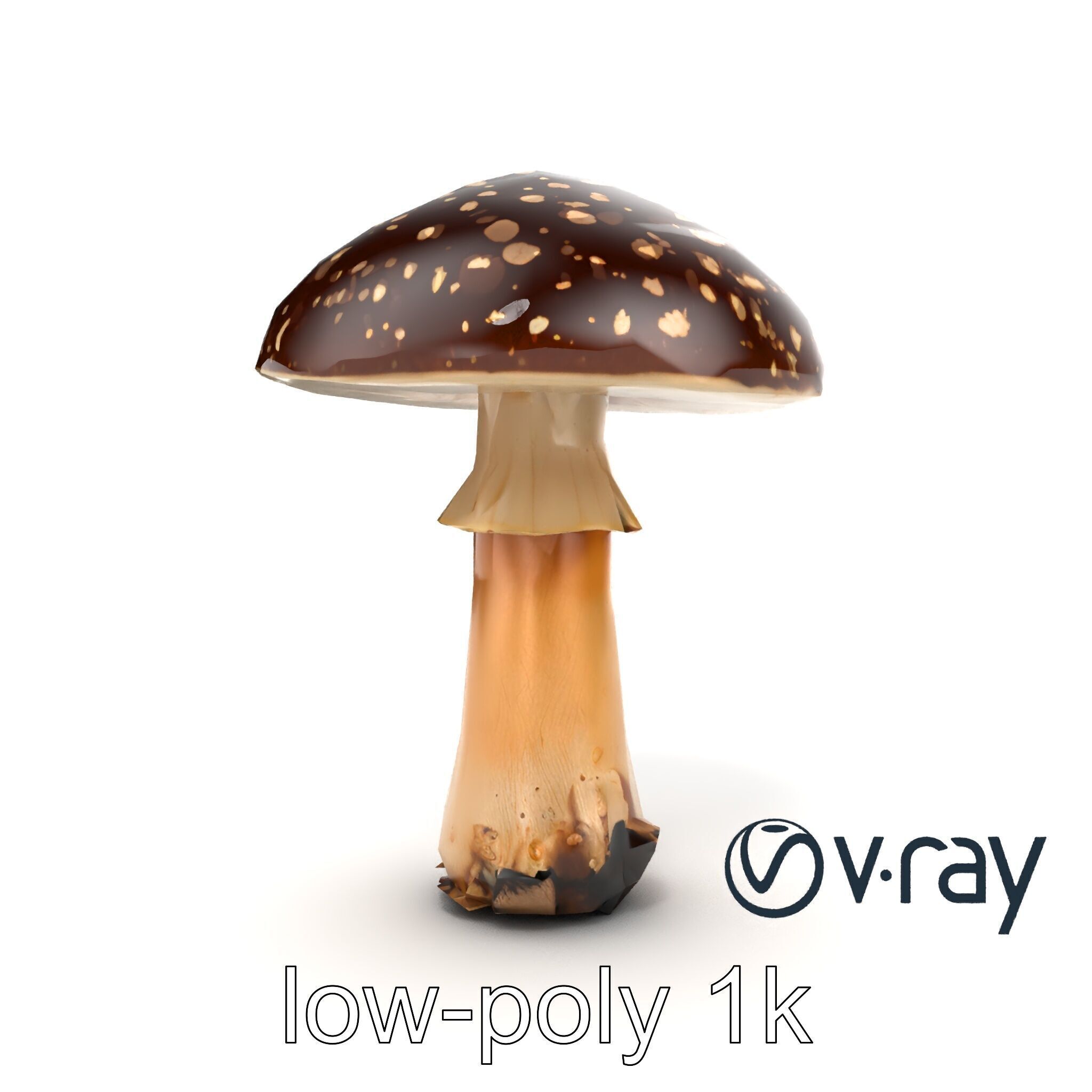 Realistic Forest Mushroom Model Pack with Textured Details Low-poly 3D model_12