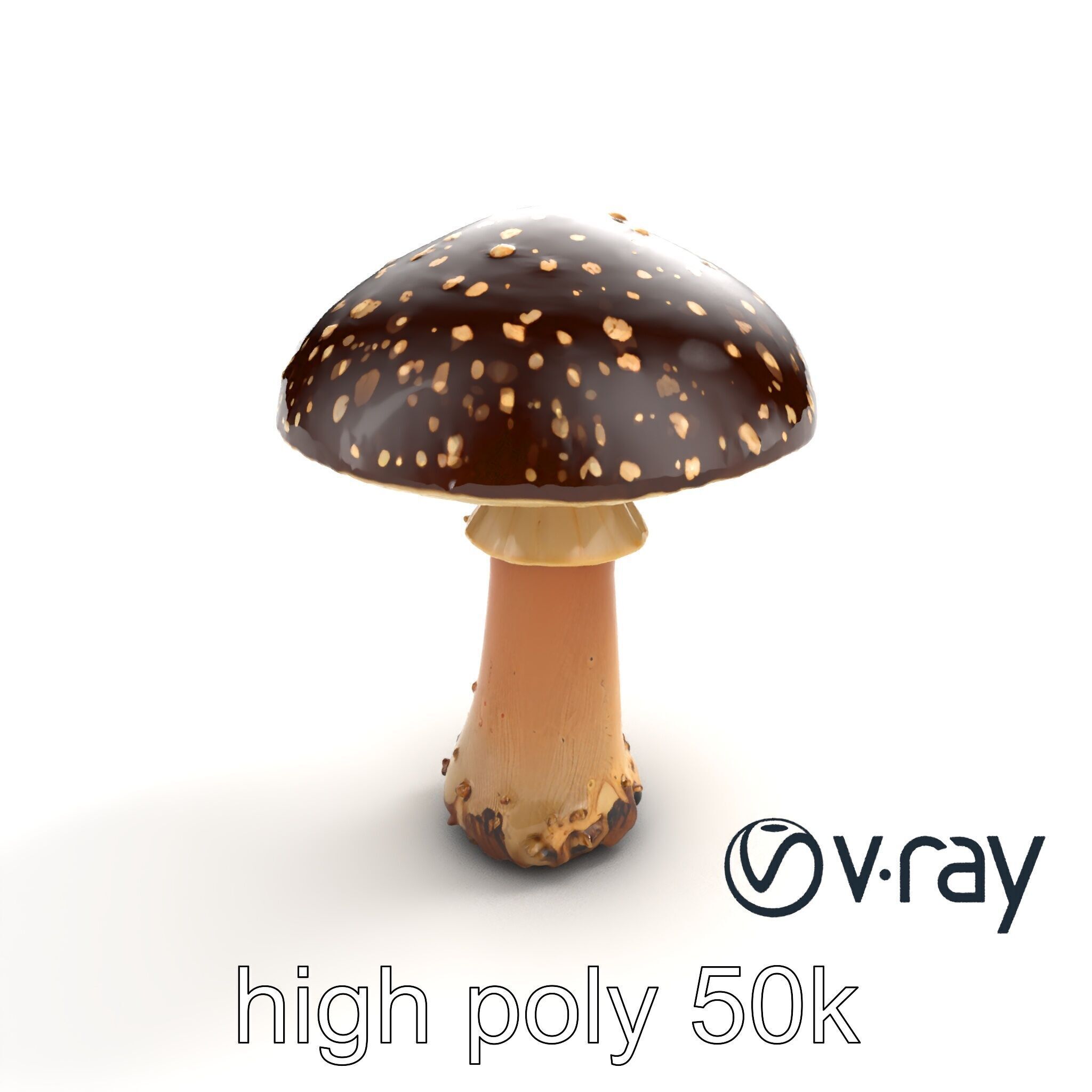 Realistic Forest Mushroom Model Pack with Textured Details Low-poly 3D model_22