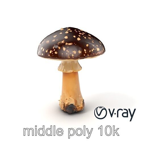 Realistic Forest Mushroom Model Pack with Textured Details Low-poly 3D model