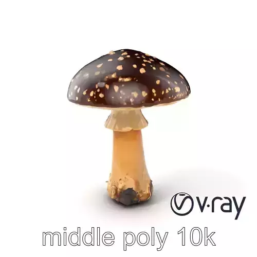 Realistic Forest Mushroom Model Pack with Textured Details Low-poly 3D model