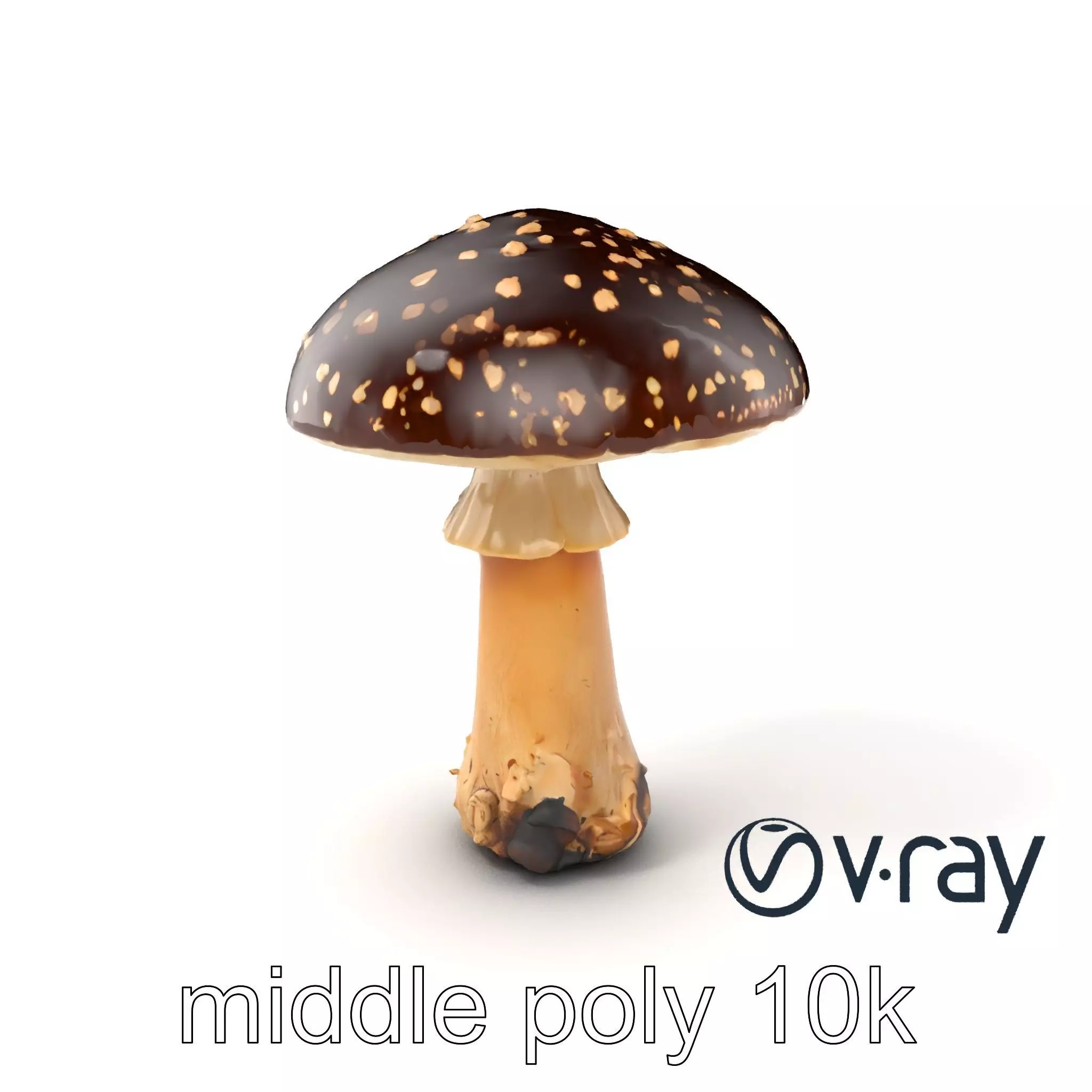 Realistic Forest Mushroom Model Pack with Textured Details Low-poly 3D model_0