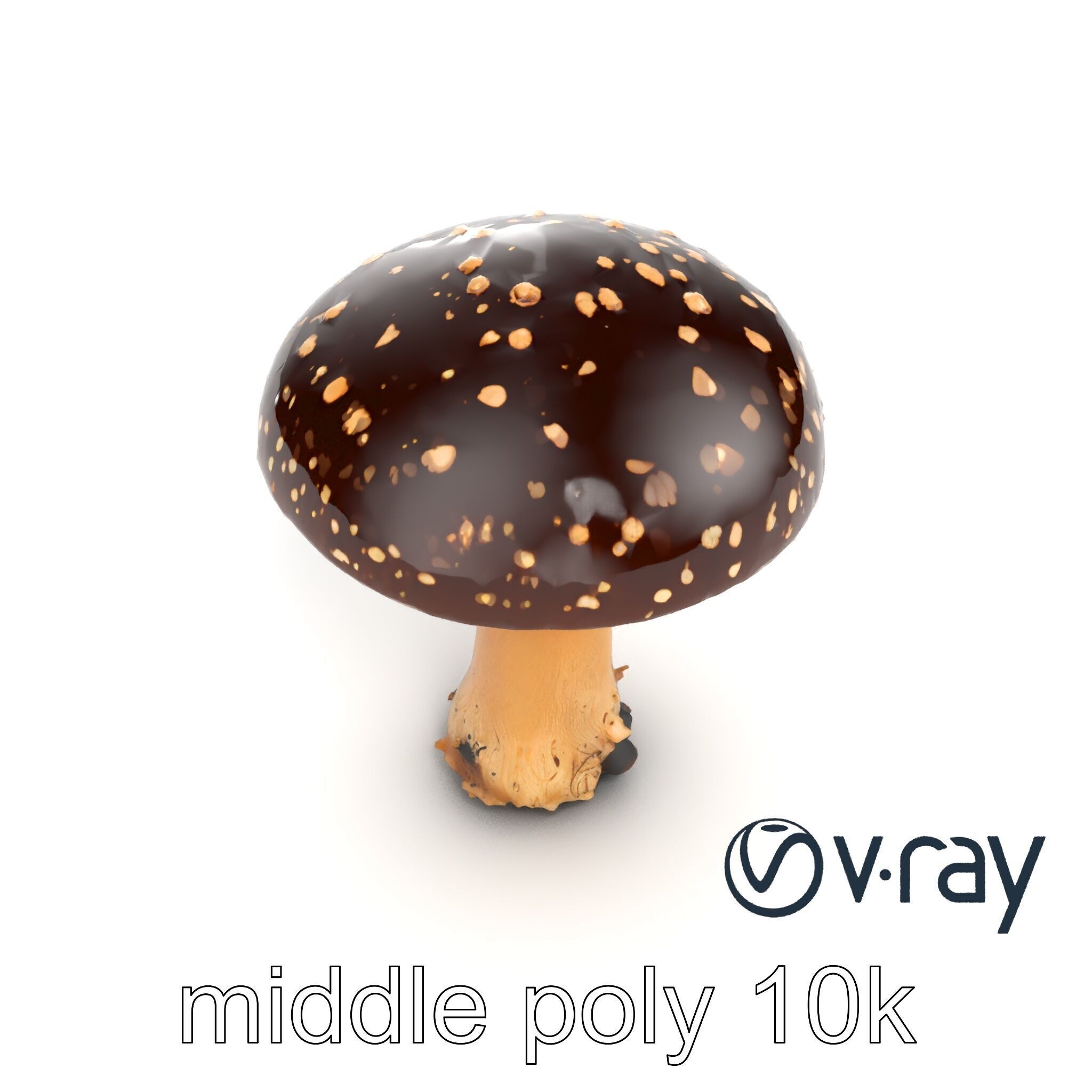 Realistic Forest Mushroom Model Pack with Textured Details Low-poly 3D model_28