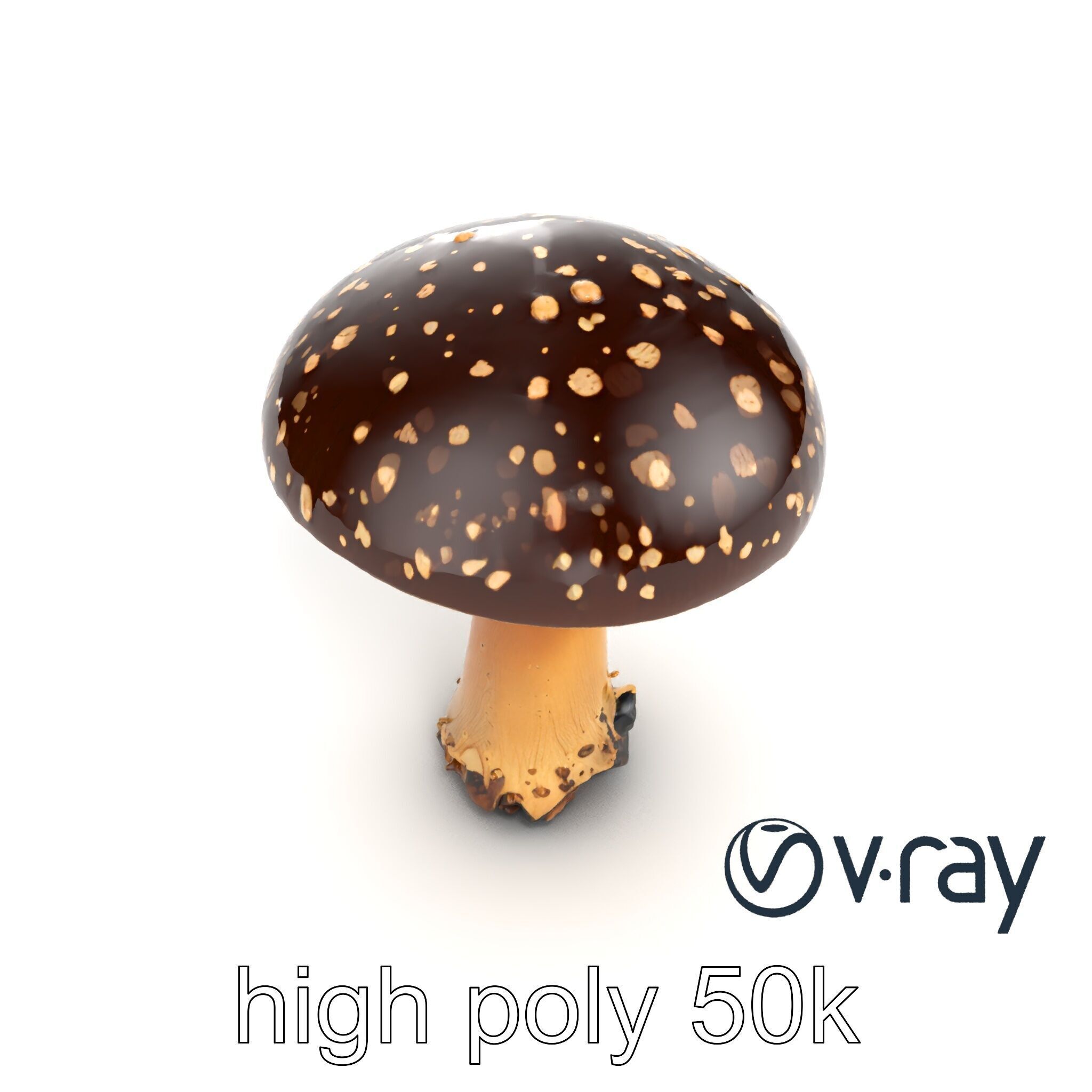 Realistic Forest Mushroom Model Pack with Textured Details Low-poly 3D model_23