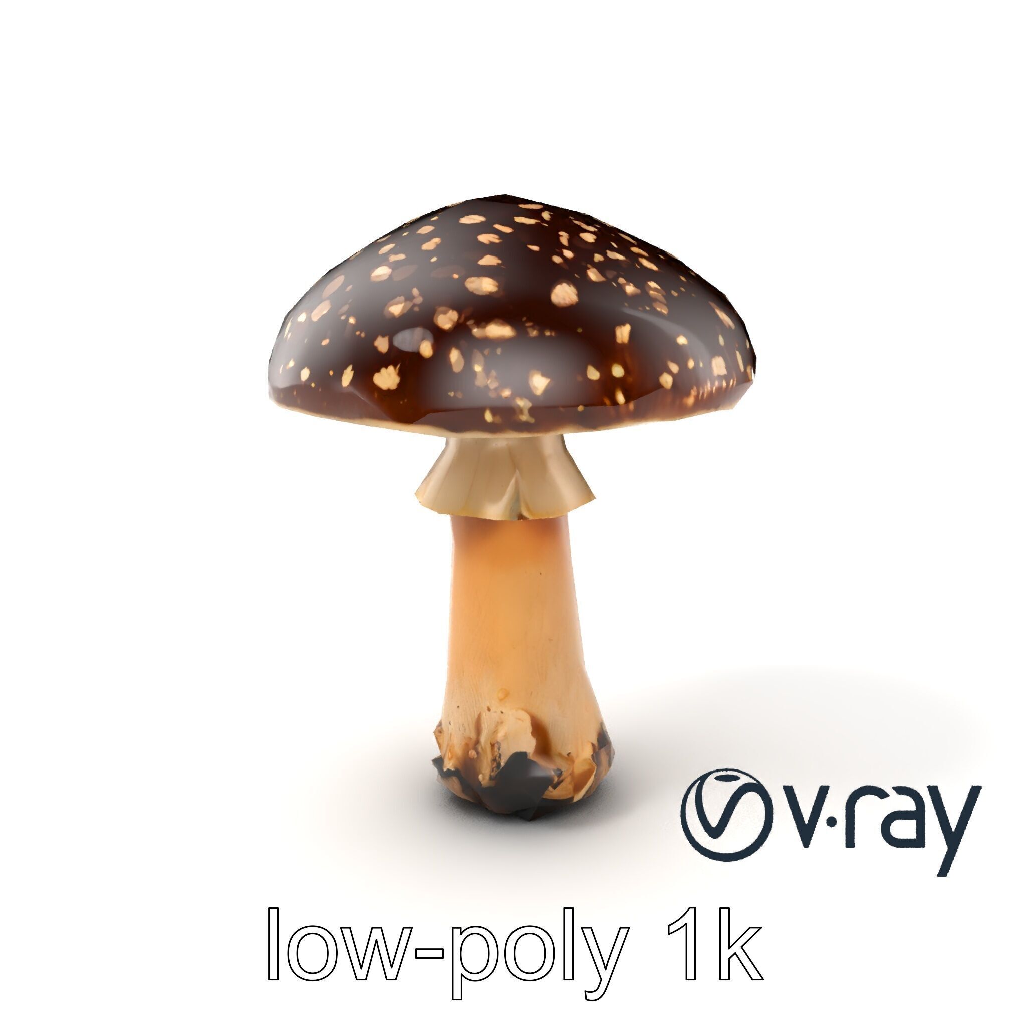 Realistic Forest Mushroom Model Pack with Textured Details Low-poly 3D model_3
