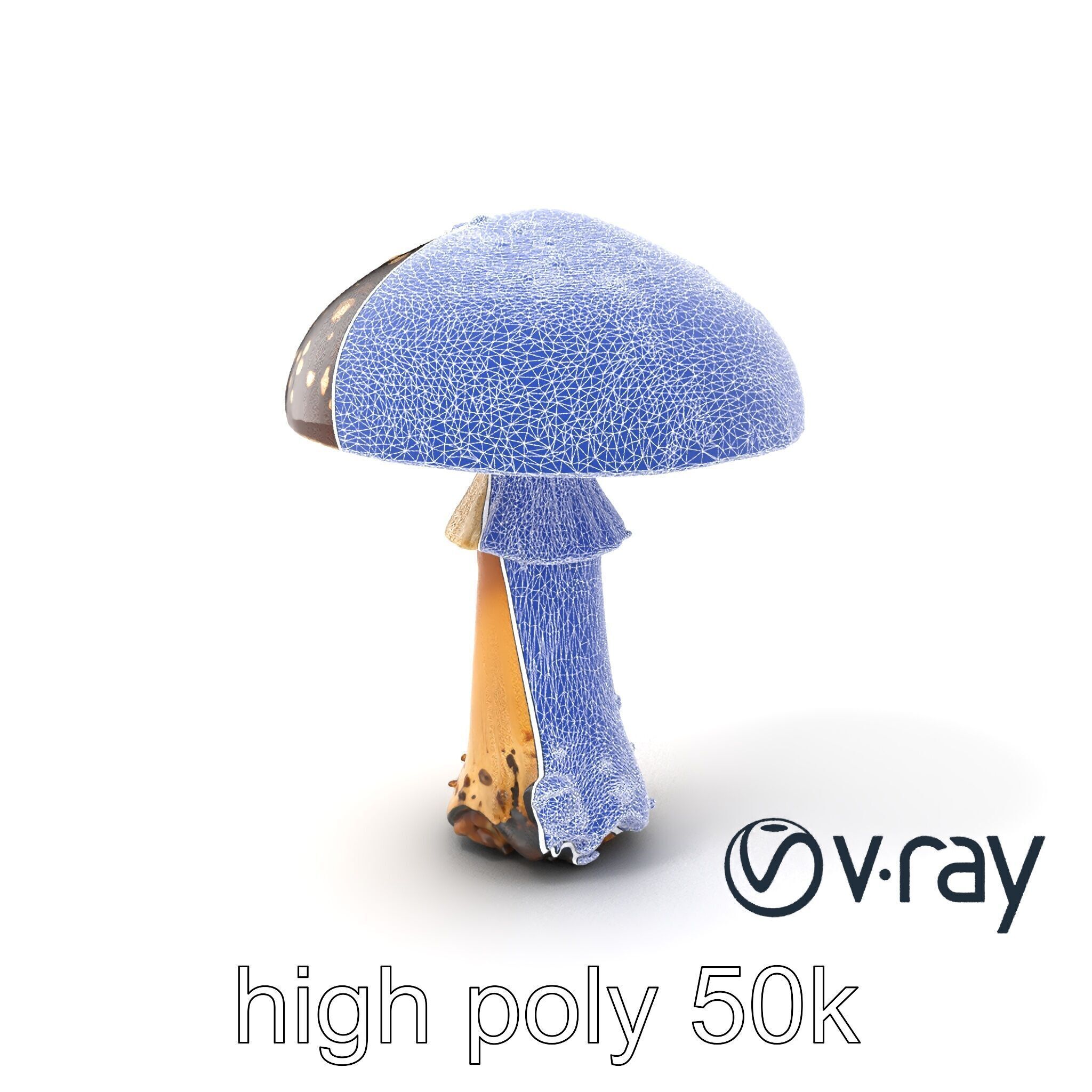 Realistic Forest Mushroom Model Pack with Textured Details Low-poly 3D model_10