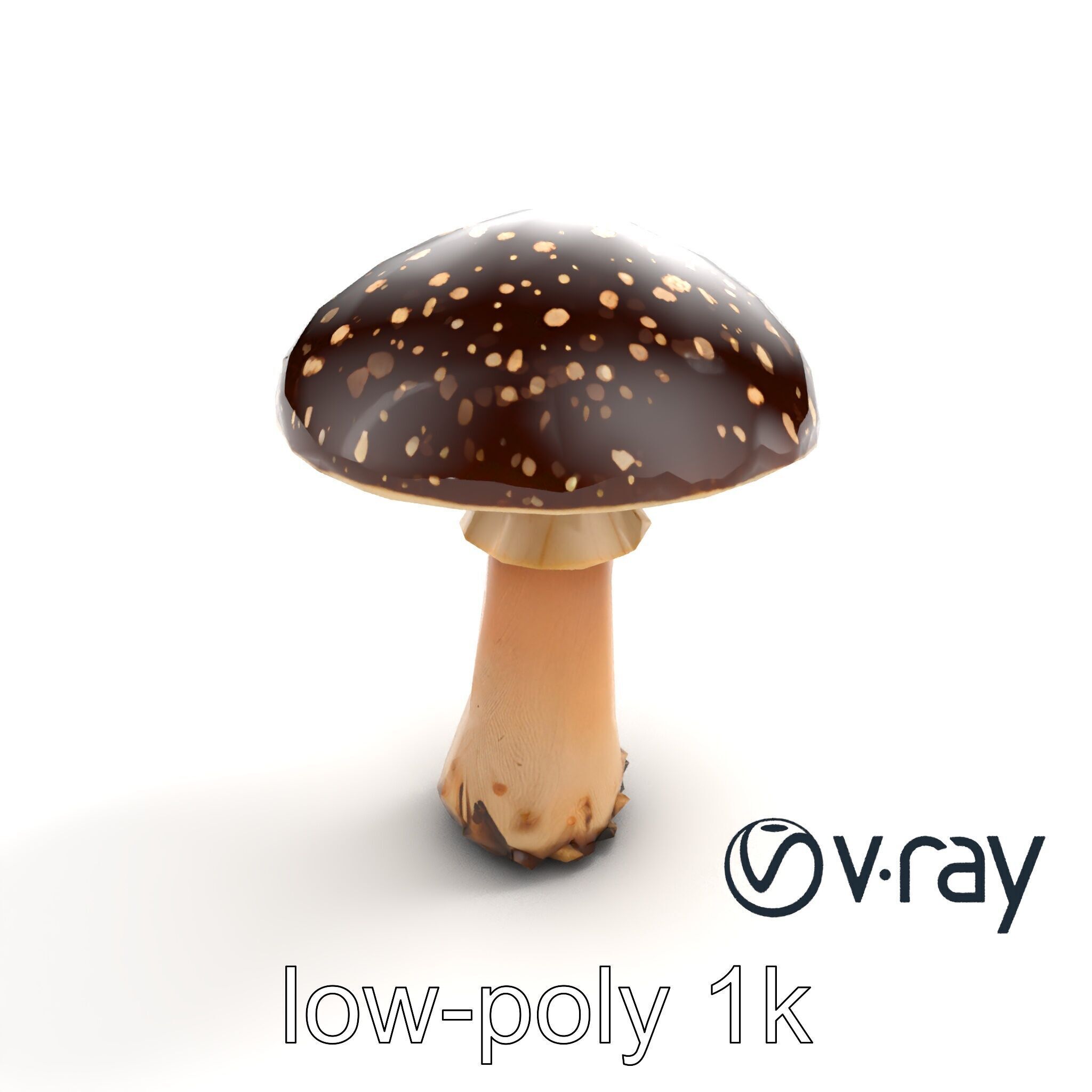 Realistic Forest Mushroom Model Pack with Textured Details Low-poly 3D model_9
