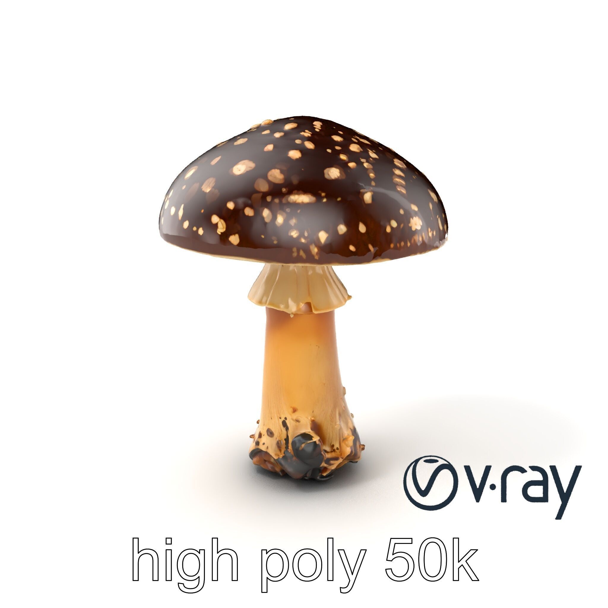 Realistic Forest Mushroom Model Pack with Textured Details Low-poly 3D model_7