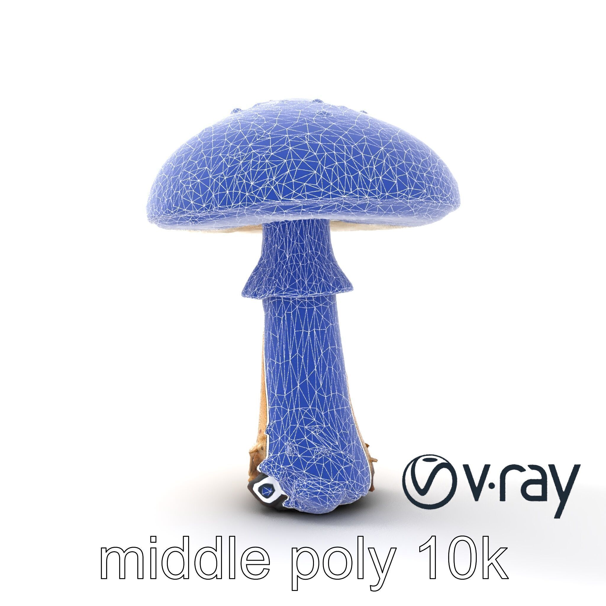 Realistic Forest Mushroom Model Pack with Textured Details Low-poly 3D model_31
