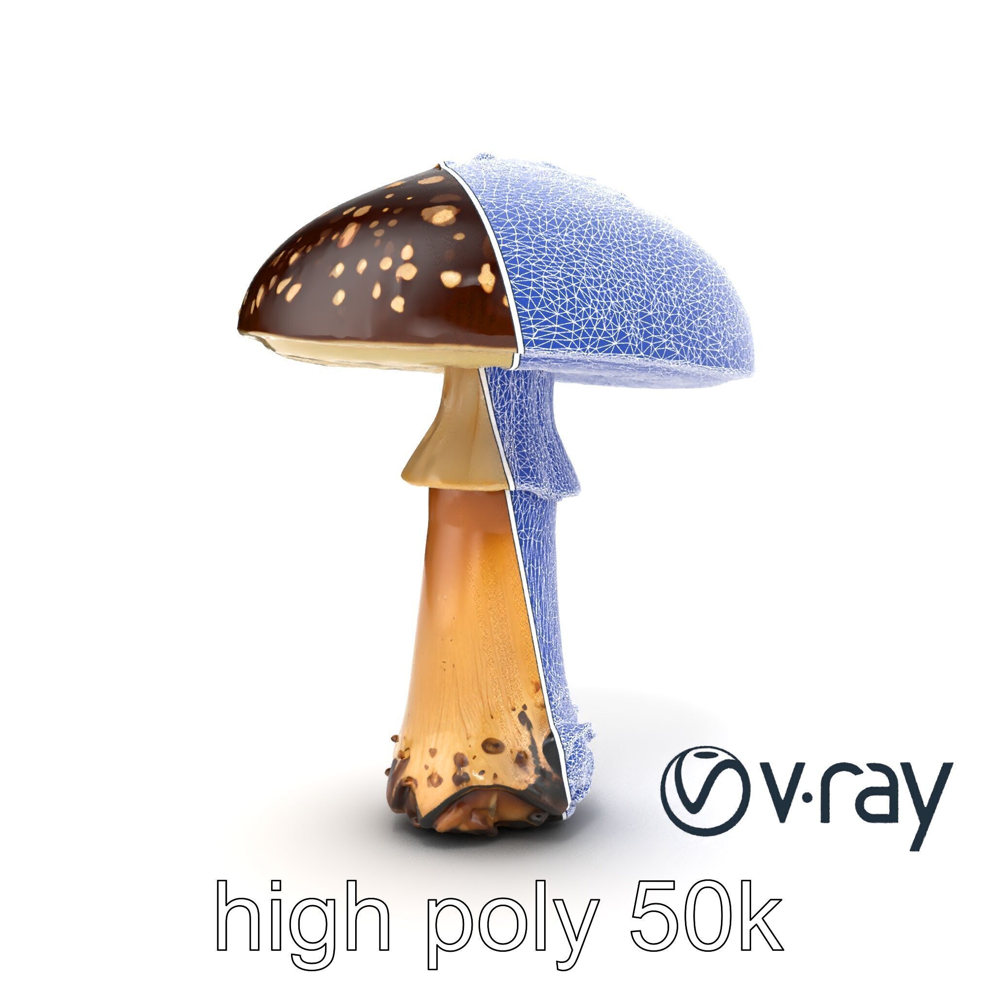 Realistic Forest Mushroom Model Pack with Textured Details Low-poly 3D model_30