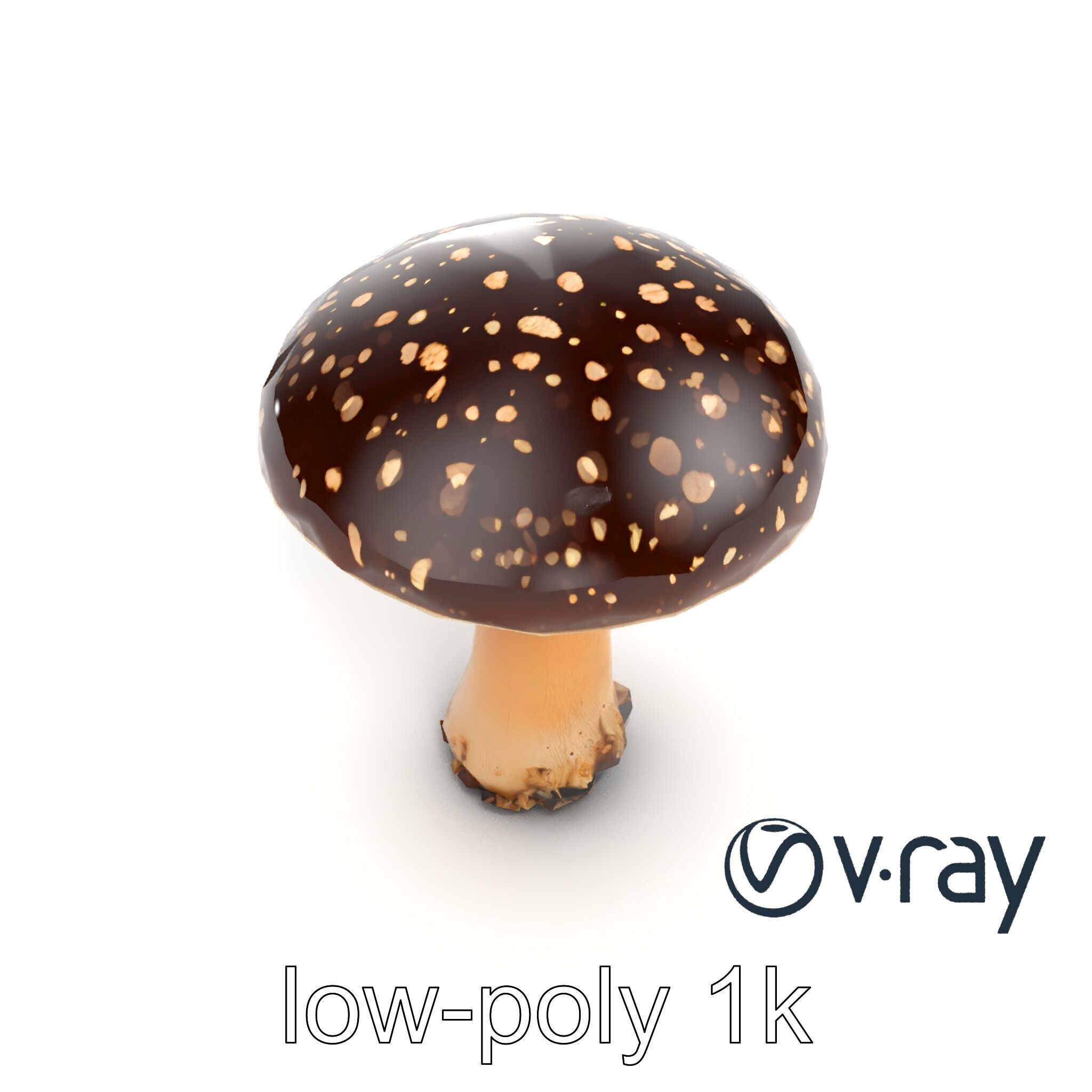 Realistic Forest Mushroom Model Pack with Textured Details Low-poly 3D model_25