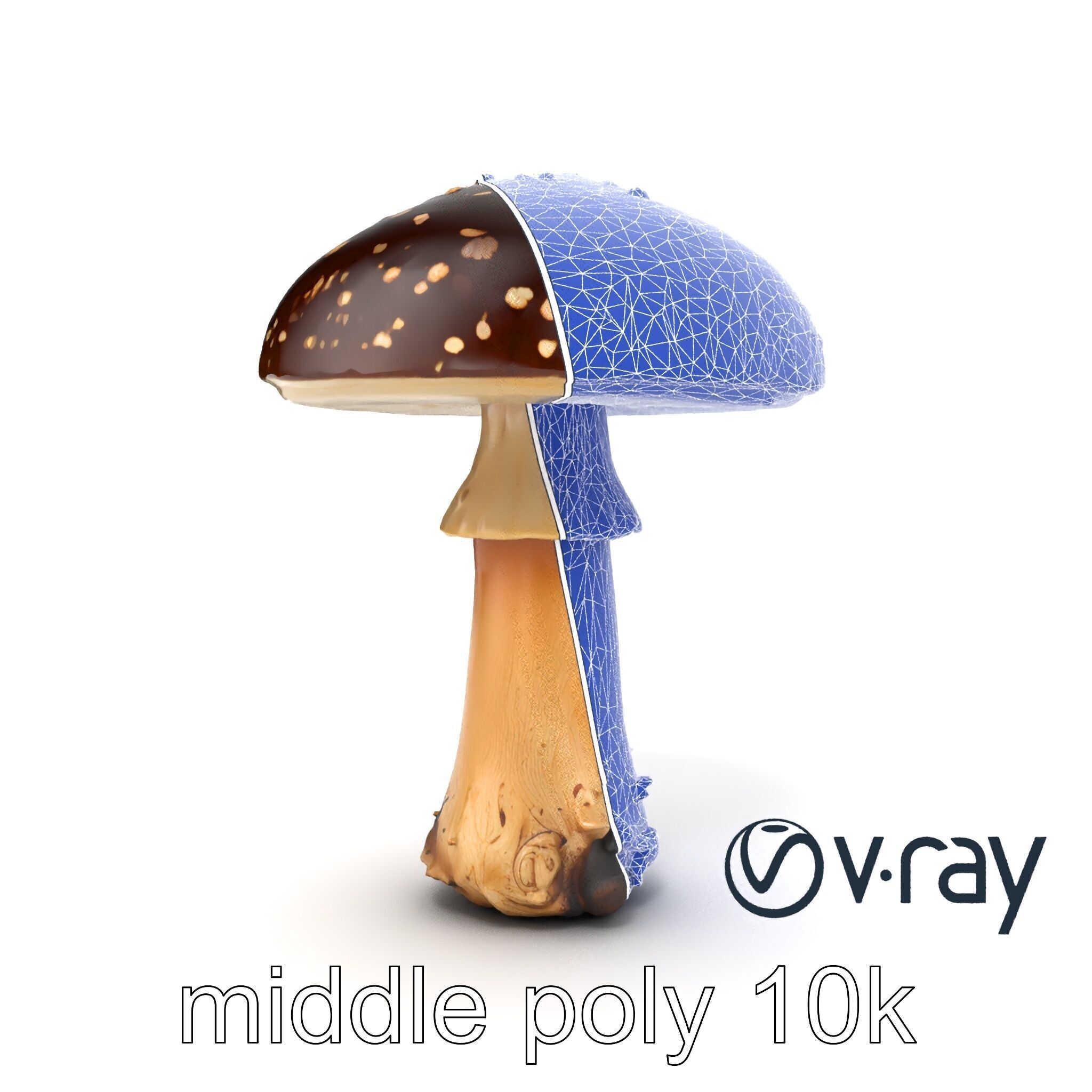 Realistic Forest Mushroom Model Pack with Textured Details Low-poly 3D model_26