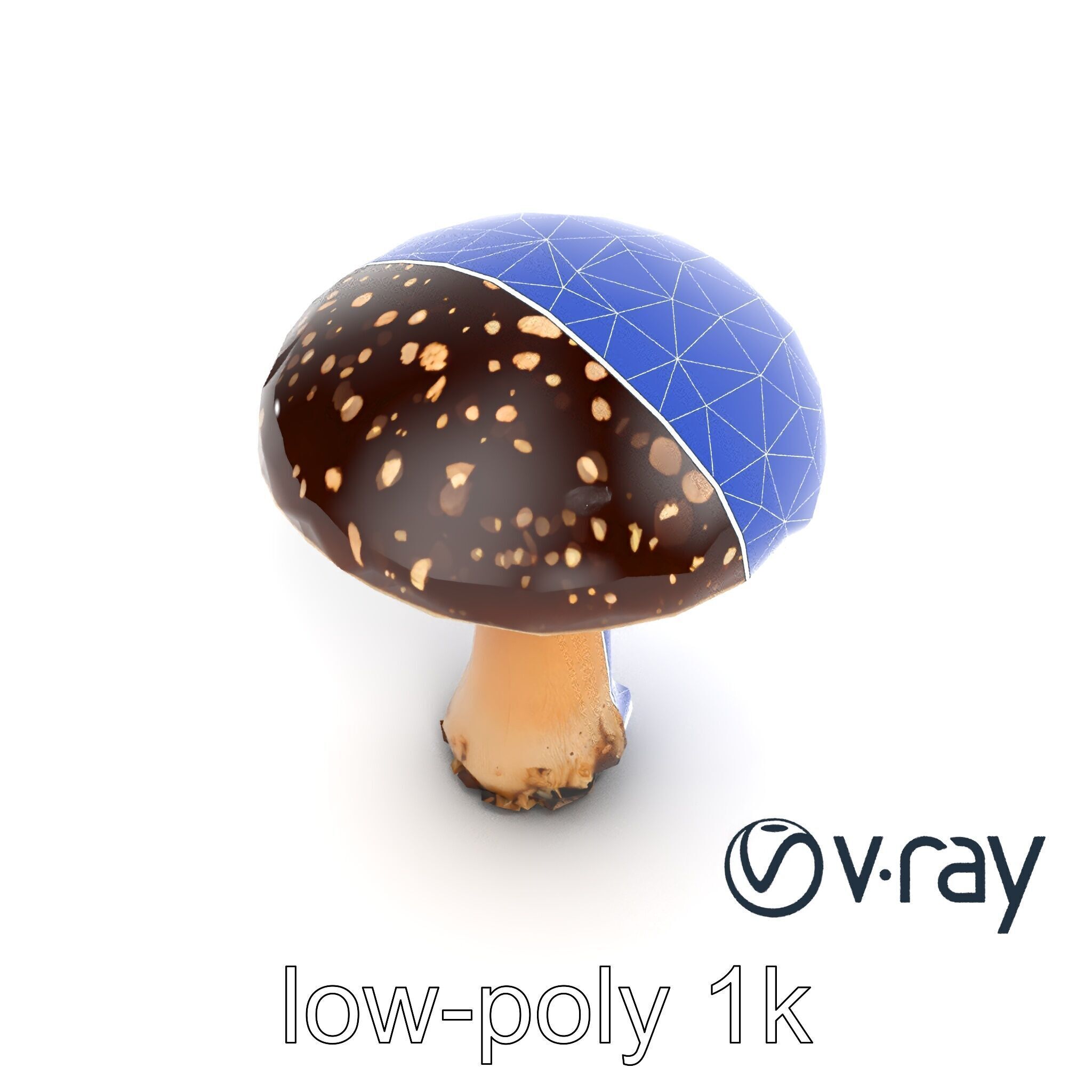 Realistic Forest Mushroom Model Pack with Textured Details Low-poly 3D model_19