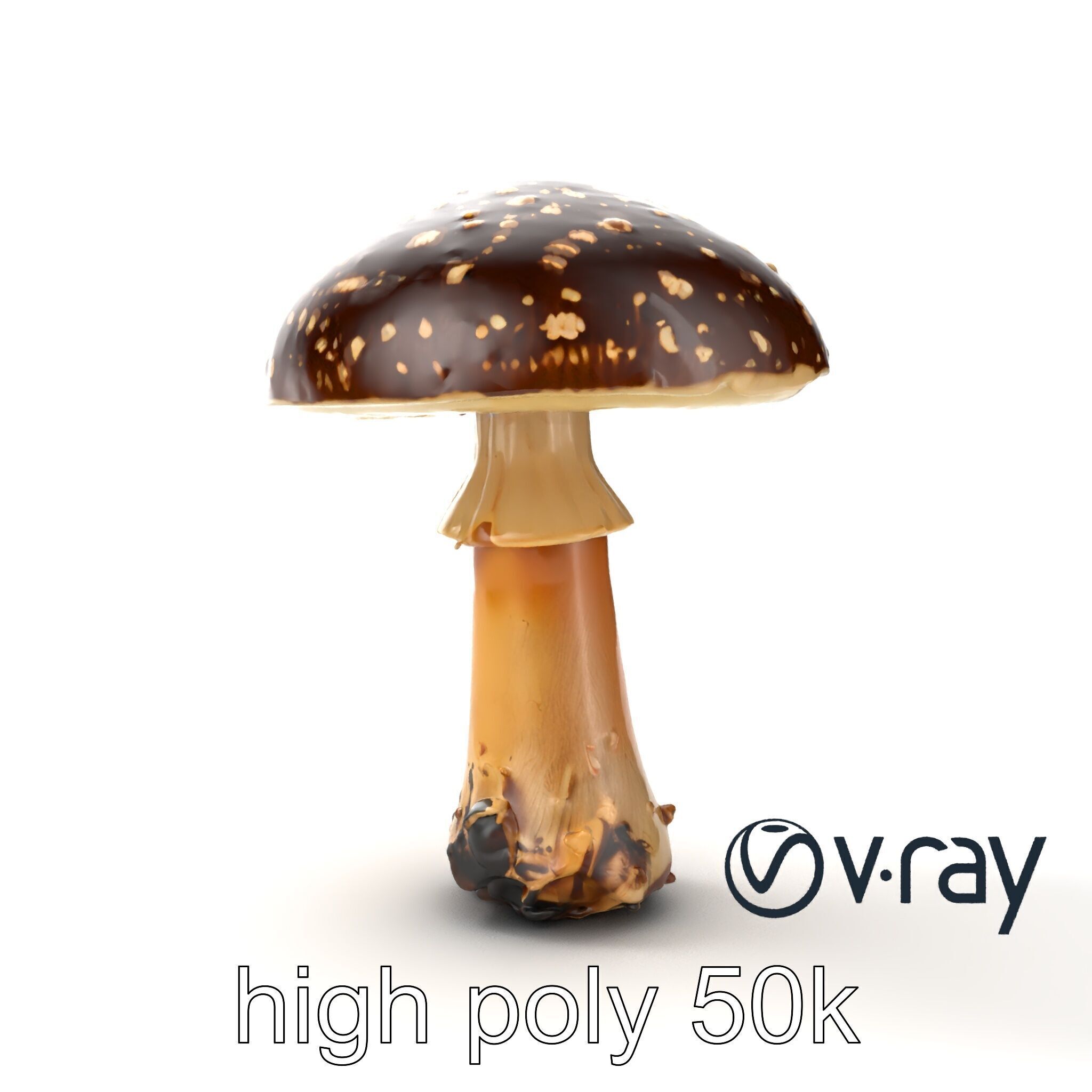 Realistic Forest Mushroom Model Pack with Textured Details Low-poly 3D model_32