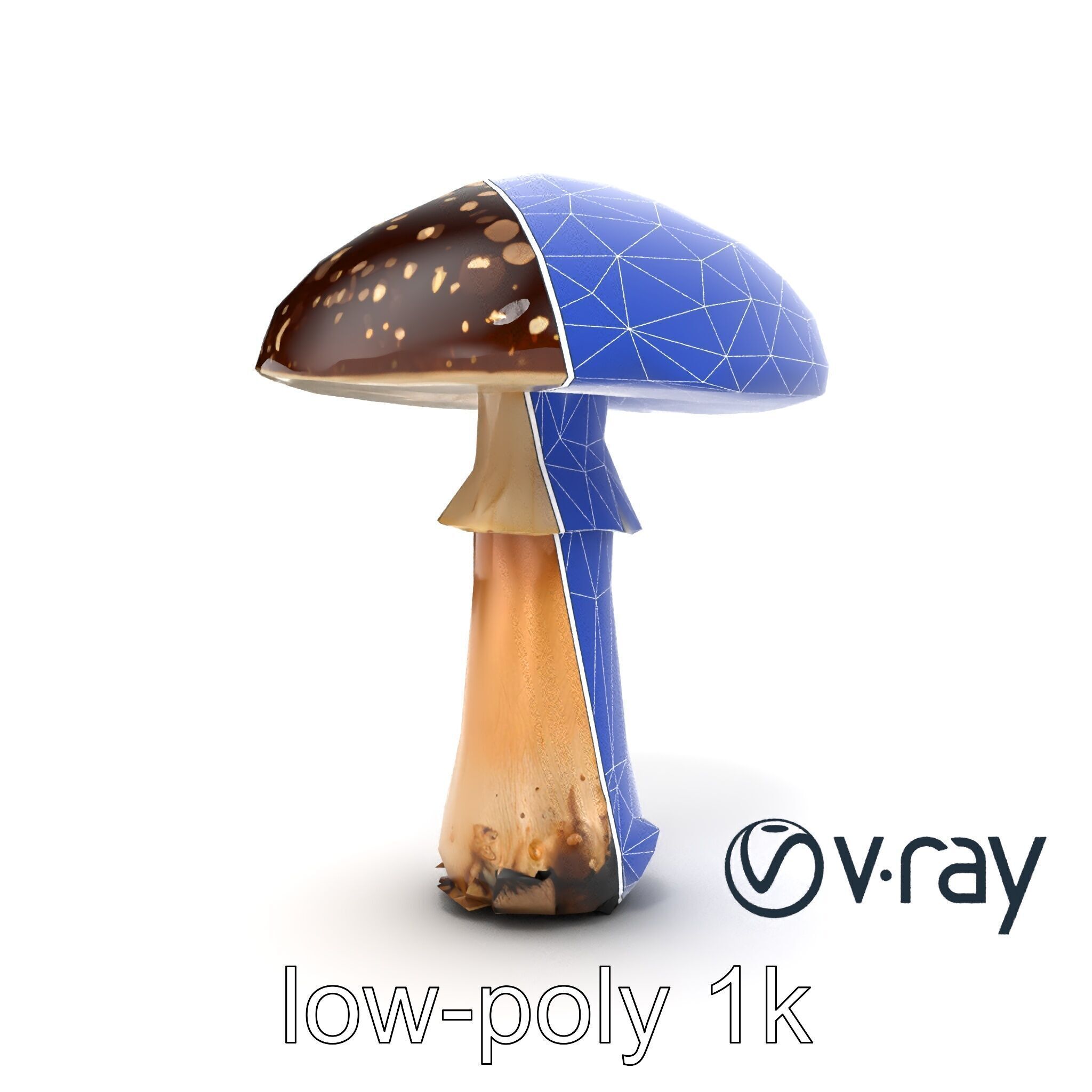 Realistic Forest Mushroom Model Pack with Textured Details Low-poly 3D model_13