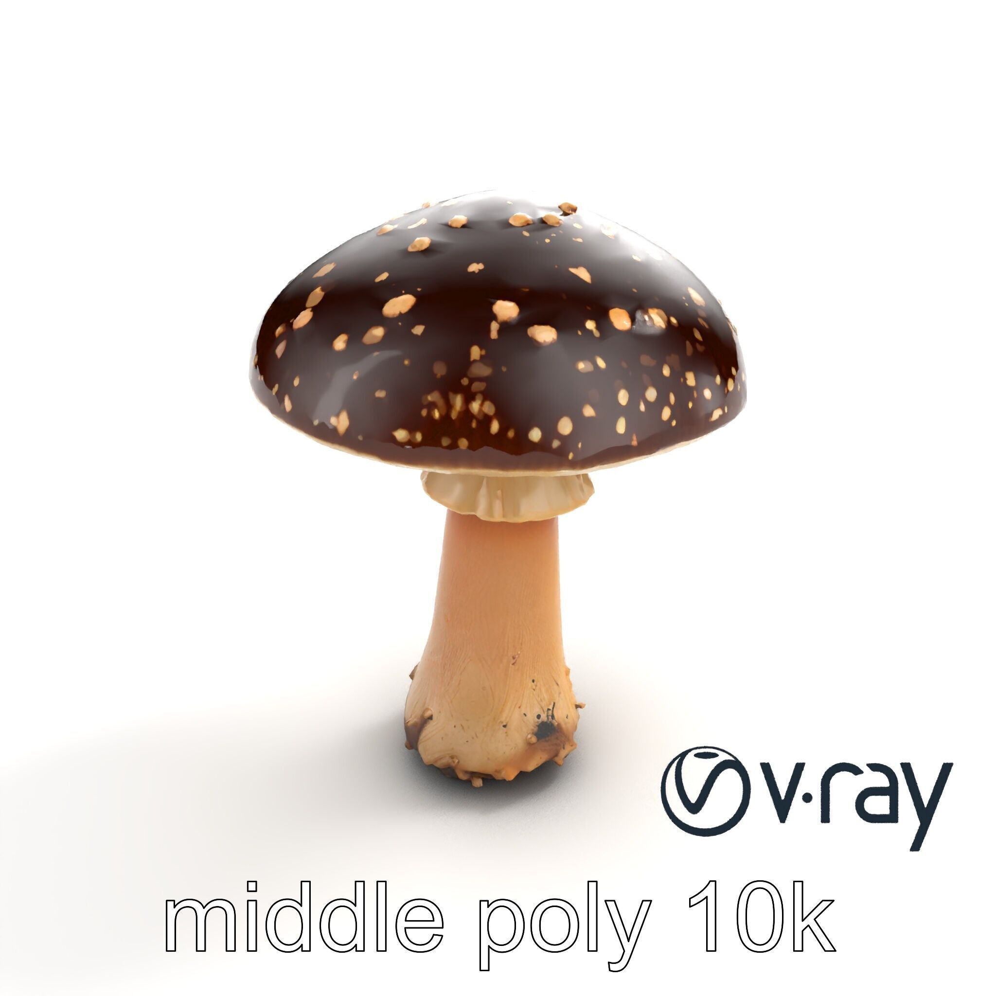 Realistic Forest Mushroom Model Pack with Textured Details Low-poly 3D model_8