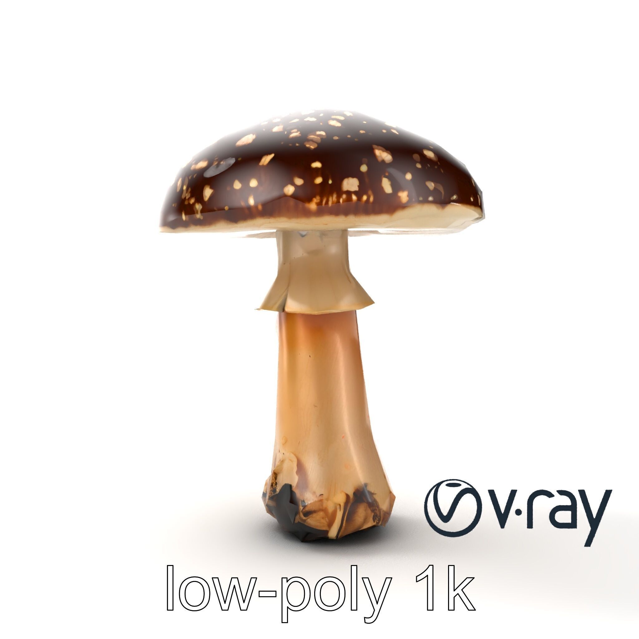 Realistic Forest Mushroom Model Pack with Textured Details Low-poly 3D model_14