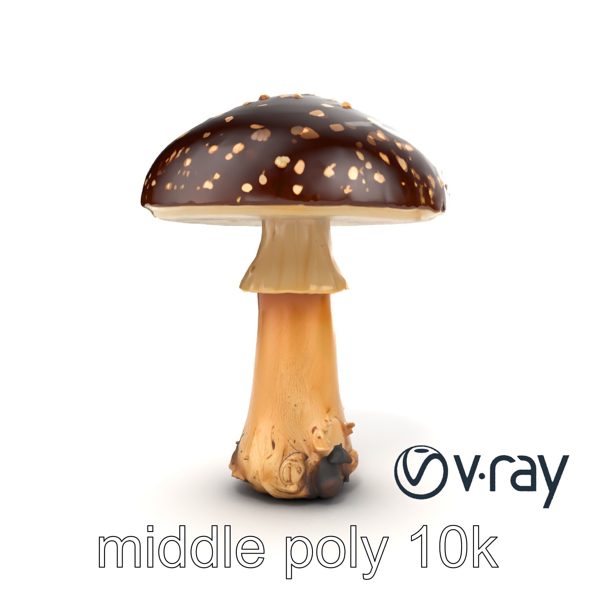 Realistic Forest Mushroom Model Pack with Textured Details Low-poly 3D model_16