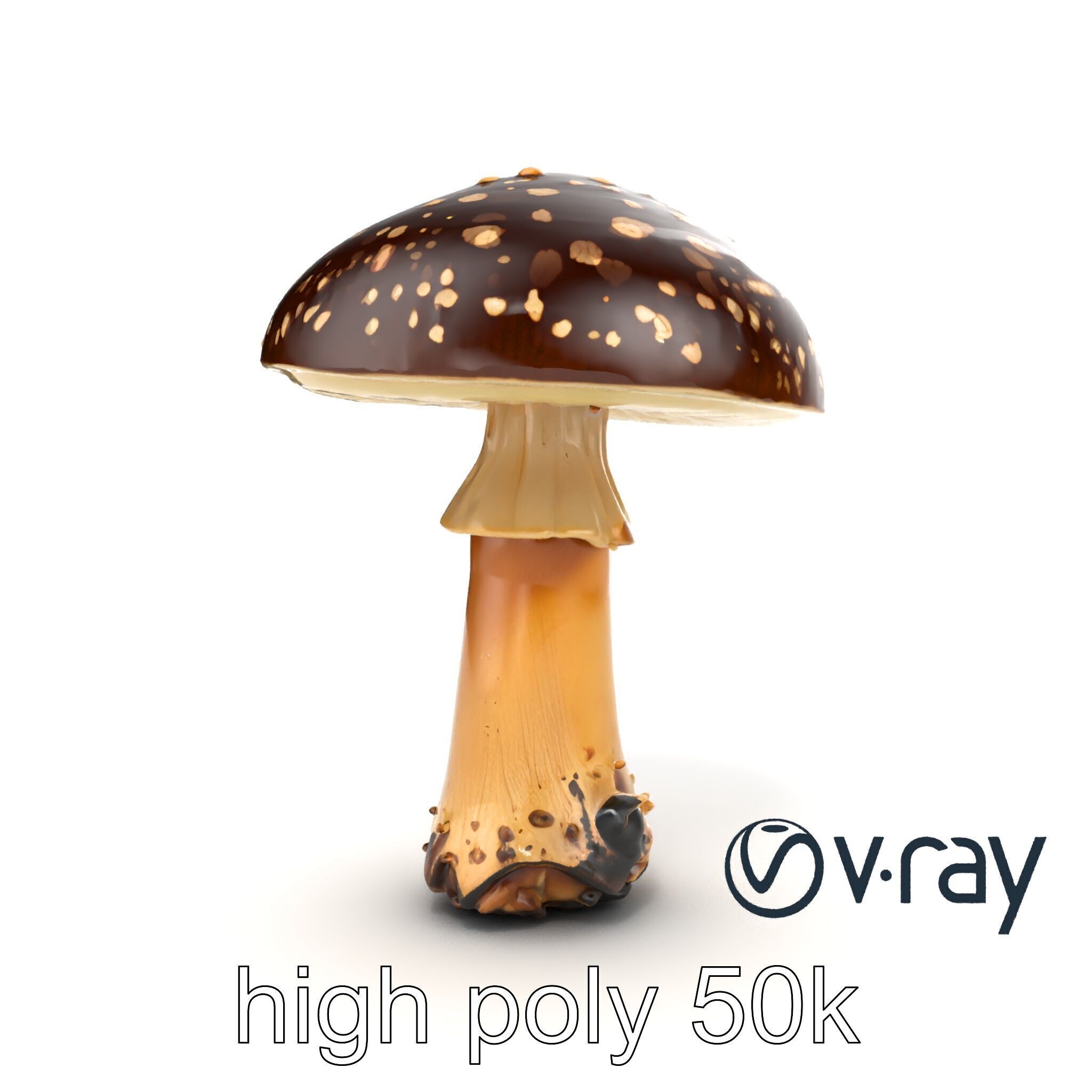 Realistic Forest Mushroom Model Pack with Textured Details Low-poly 3D model_18