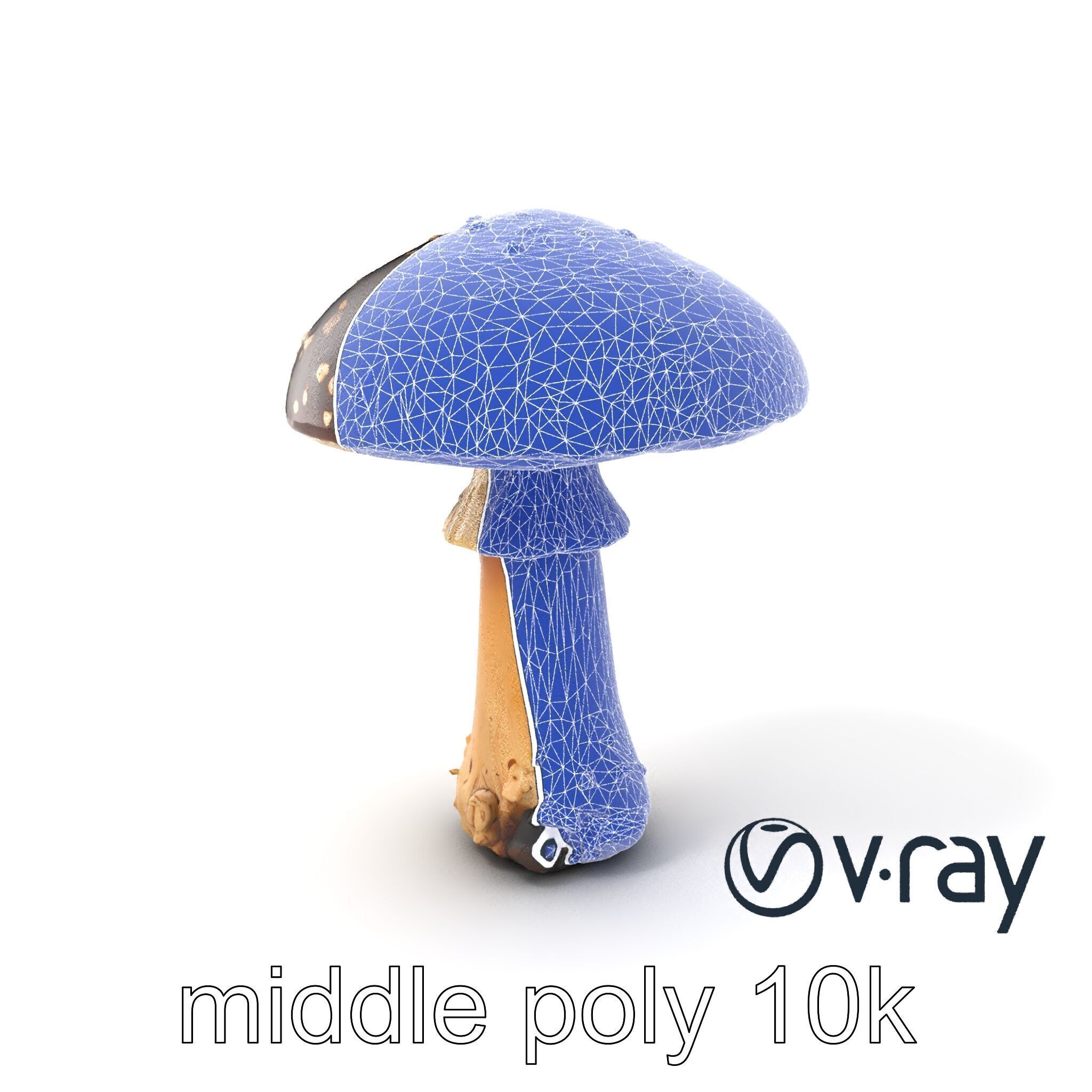 Realistic Forest Mushroom Model Pack with Textured Details Low-poly 3D model_5