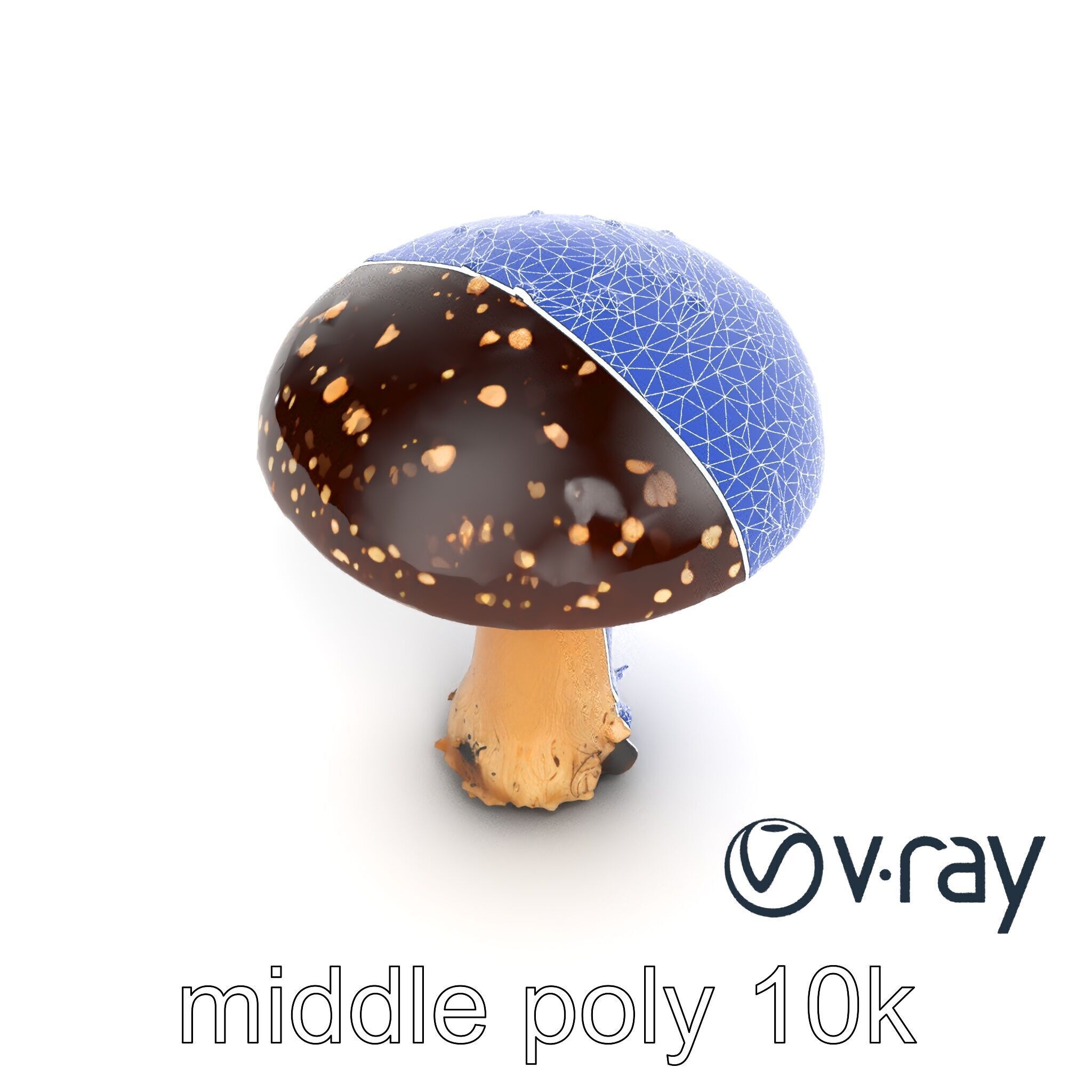 Realistic Forest Mushroom Model Pack with Textured Details Low-poly 3D model_24