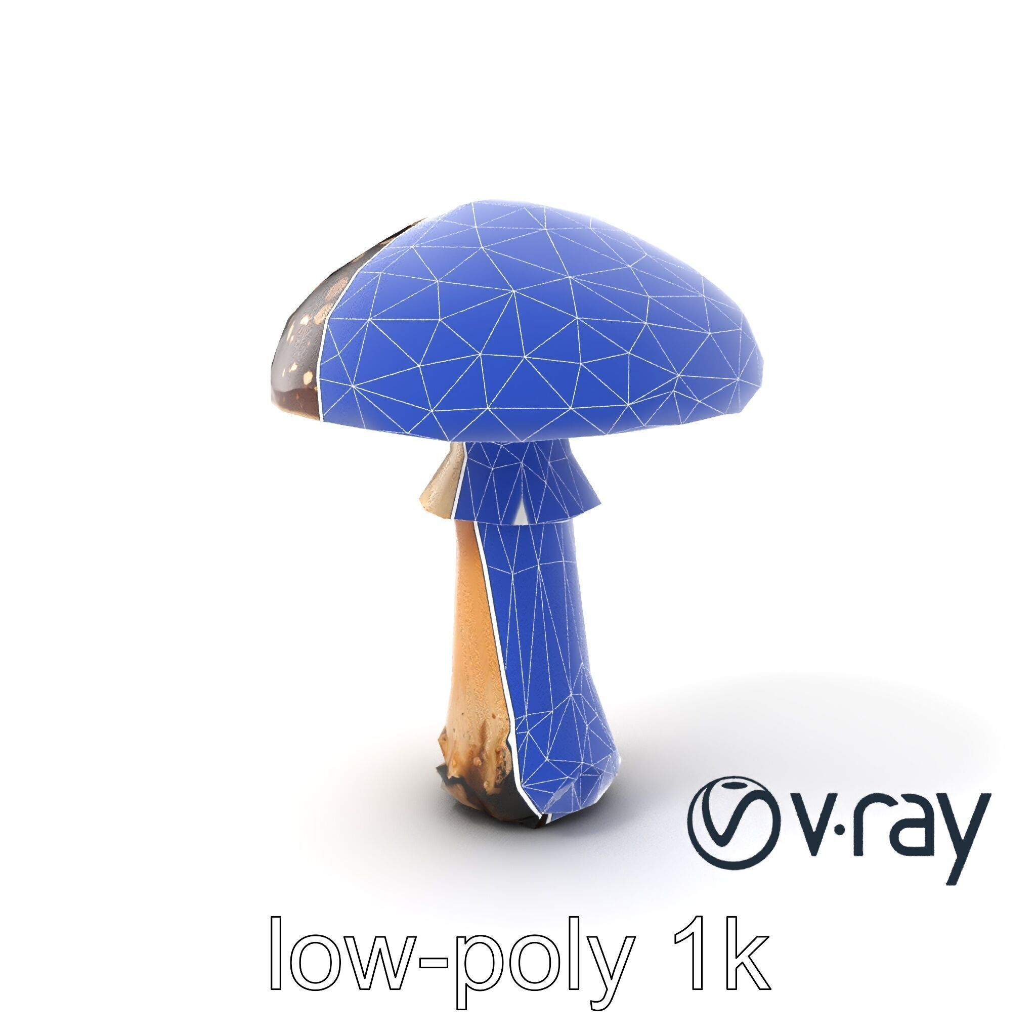 Realistic Forest Mushroom Model Pack with Textured Details Low-poly 3D model_6