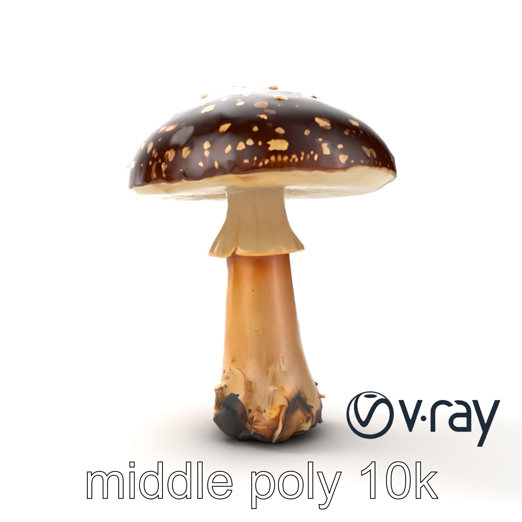 Realistic Forest Mushroom Model Pack with Textured Details Low-poly 3D model_20