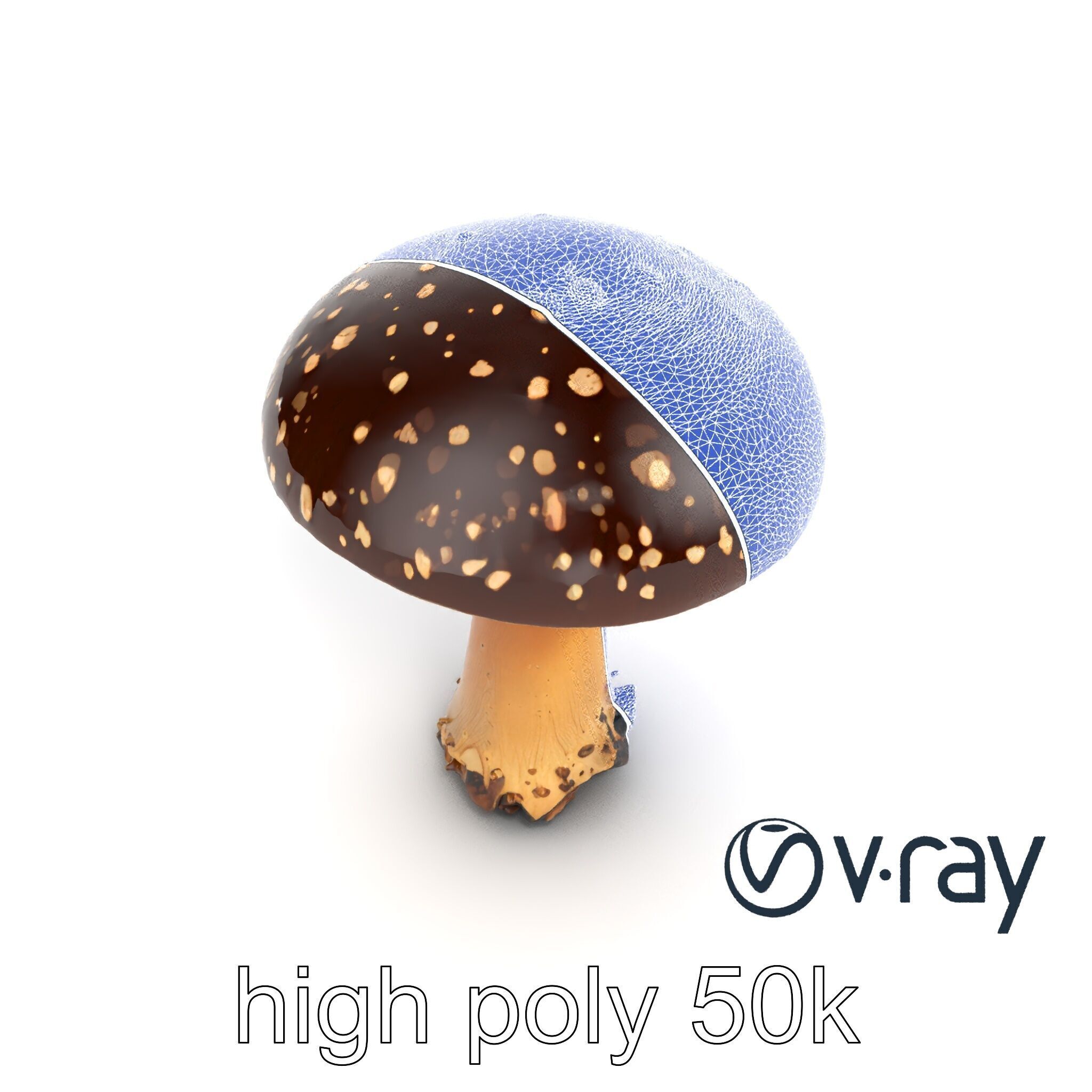 Realistic Forest Mushroom Model Pack with Textured Details Low-poly 3D model_29