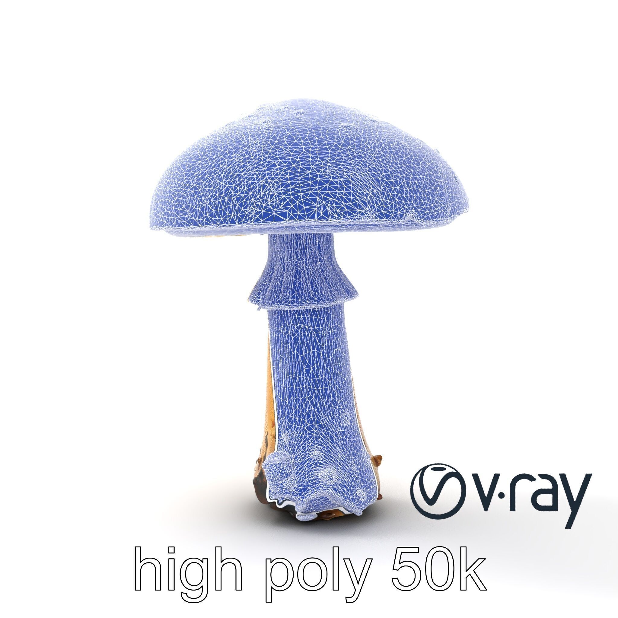 Realistic Forest Mushroom Model Pack with Textured Details Low-poly 3D model_15