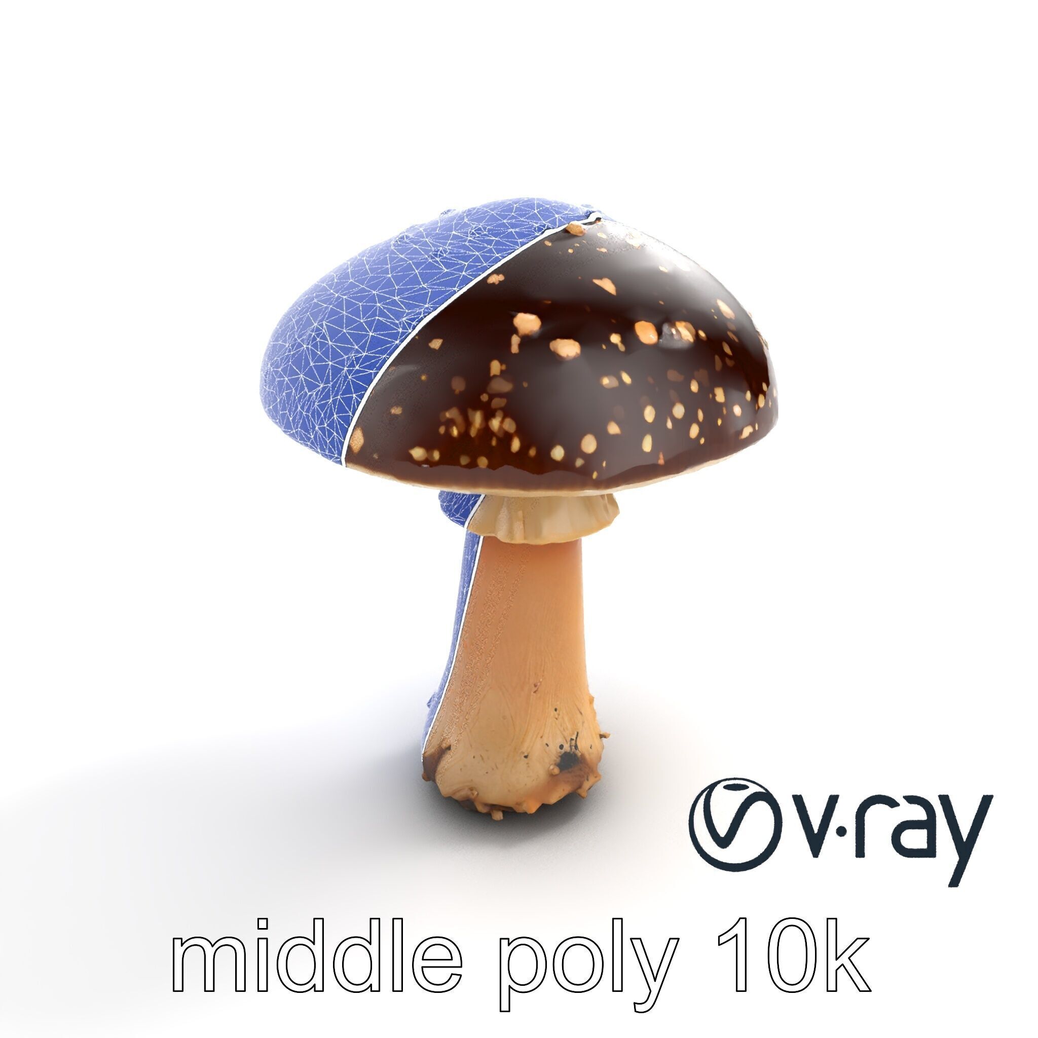 Realistic Forest Mushroom Model Pack with Textured Details Low-poly 3D model_11